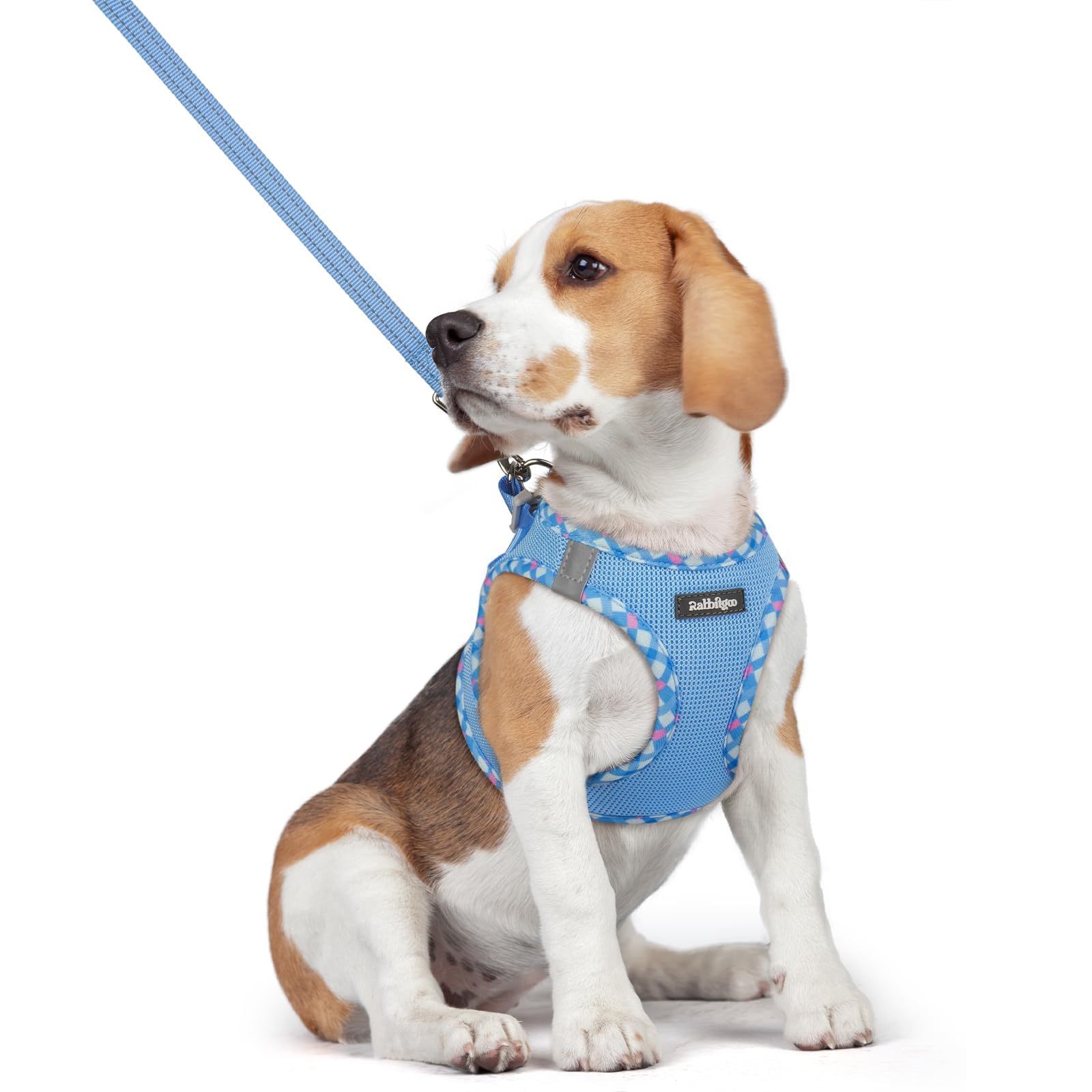 rabbitgoo Reflective Mesh Dog Harness & Leash Set