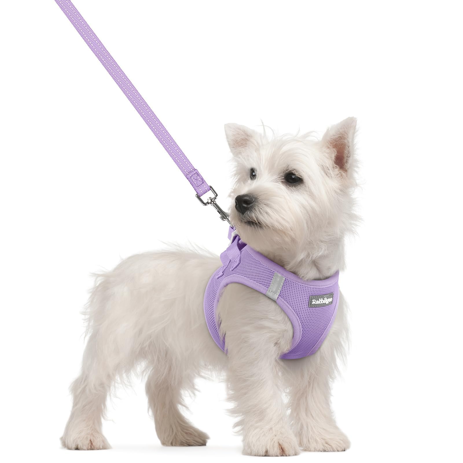 rabbitgoo Reflective Mesh Dog Harness & Leash Set