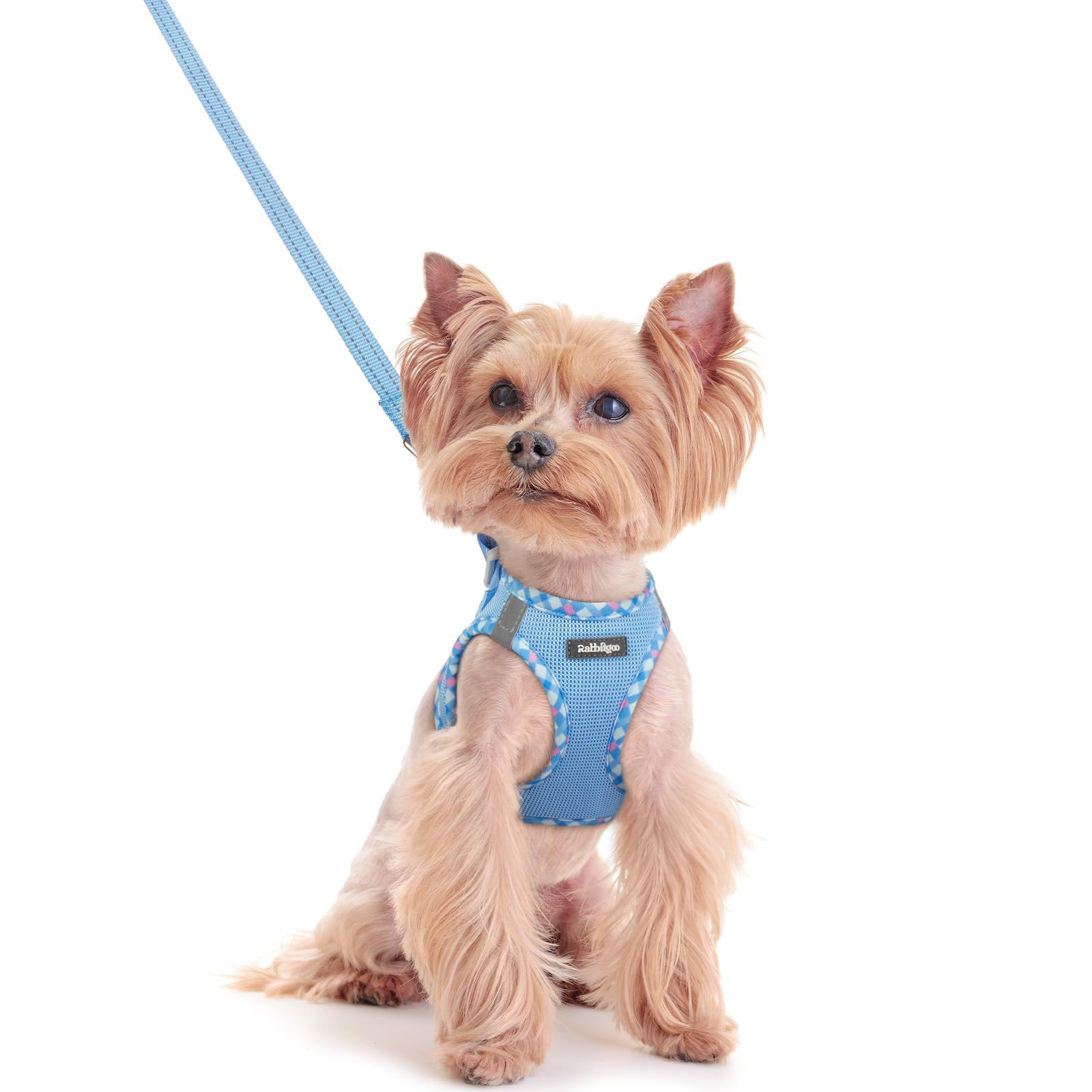 rabbitgoo Reflective Mesh Dog Harness & Leash Set