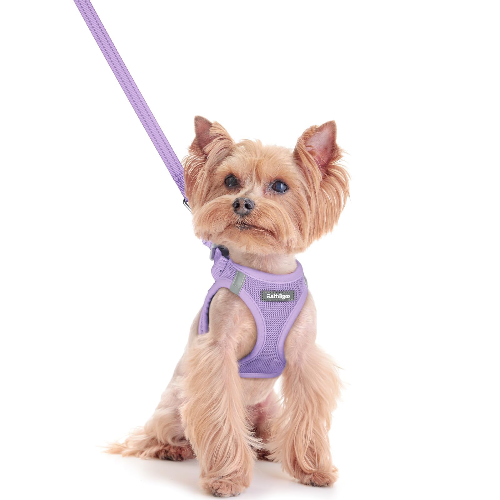 rabbitgoo Reflective Mesh Dog Harness & Leash Set
