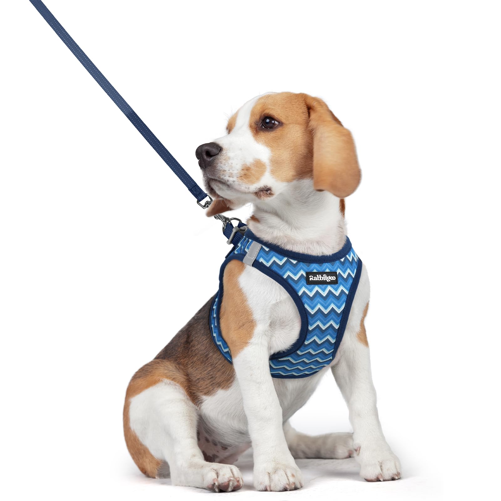 rabbitgoo Reflective Mesh Dog Harness & Leash Set