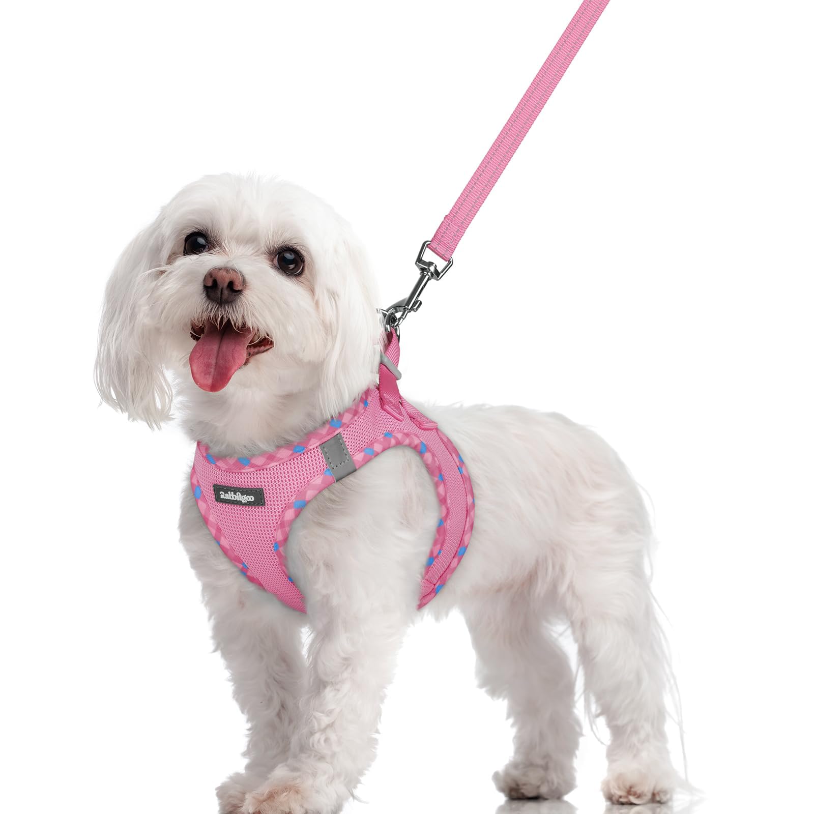 rabbitgoo Reflective Mesh Dog Harness & Leash Set