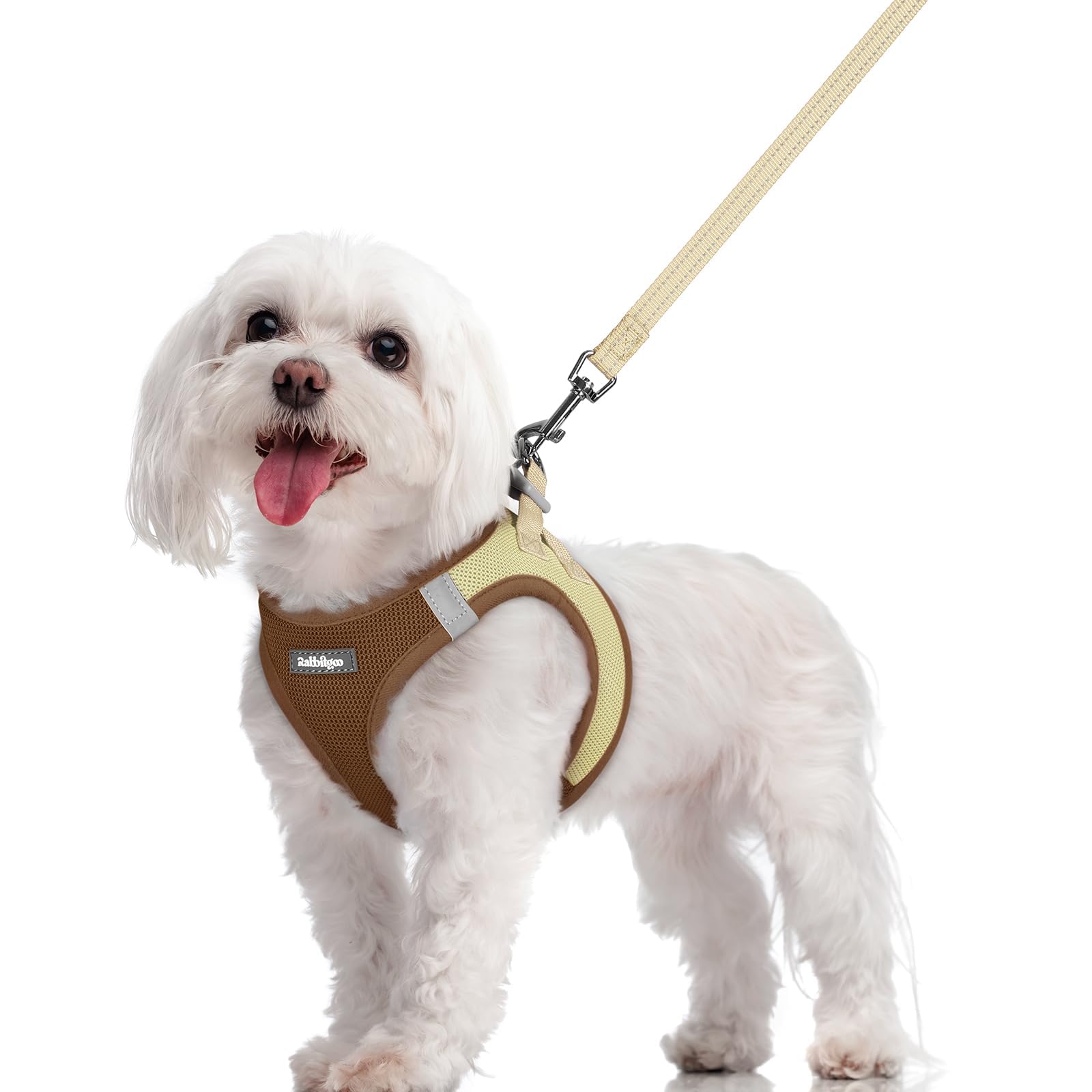 rabbitgoo Reflective Mesh Dog Harness & Leash Set