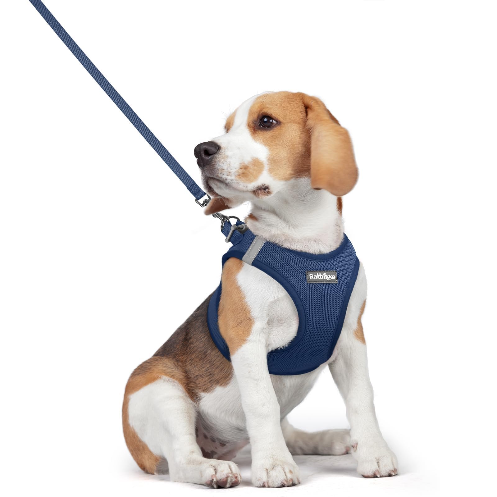 rabbitgoo Reflective Mesh Dog Harness & Leash Set