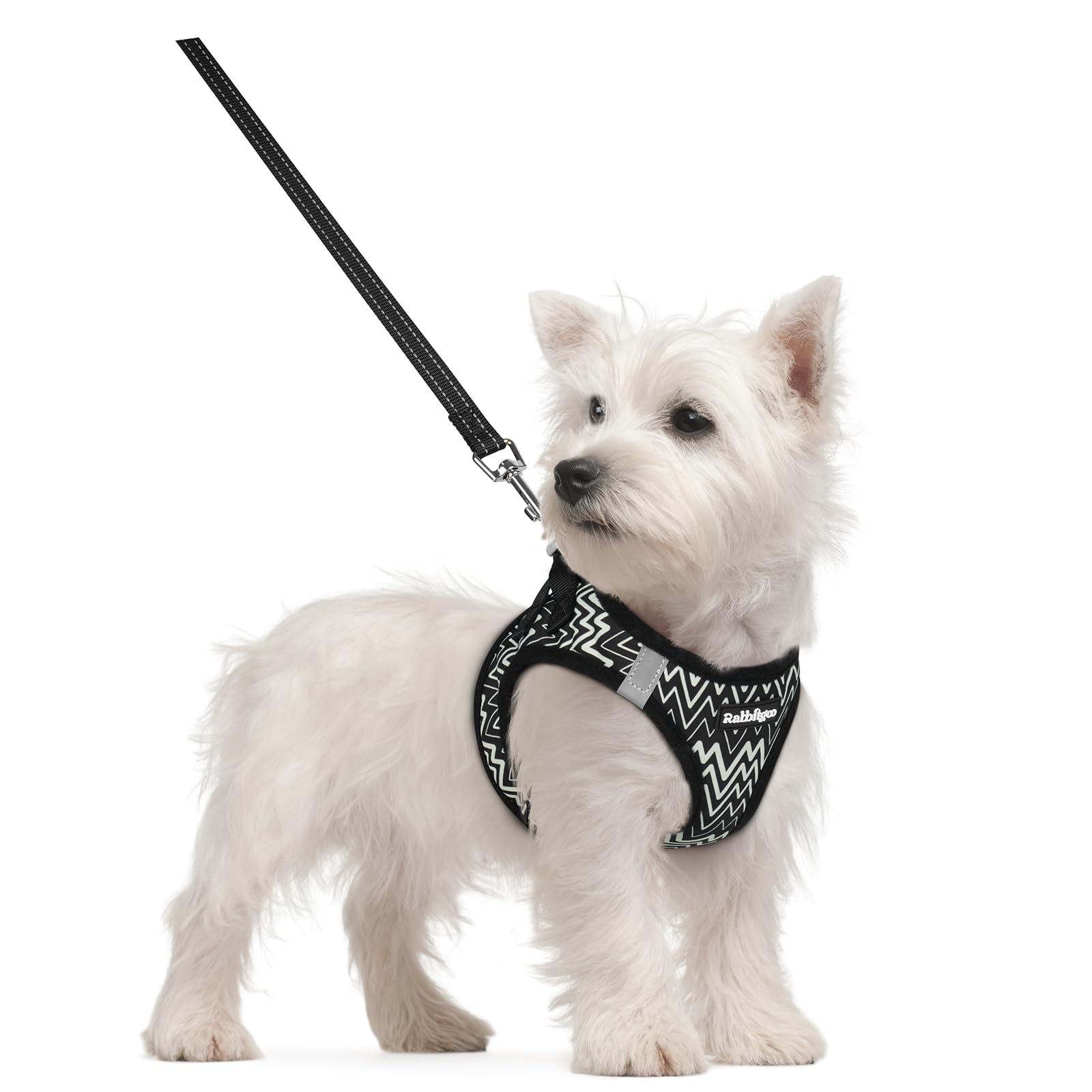 rabbitgoo Reflective Mesh Dog Harness & Leash Set