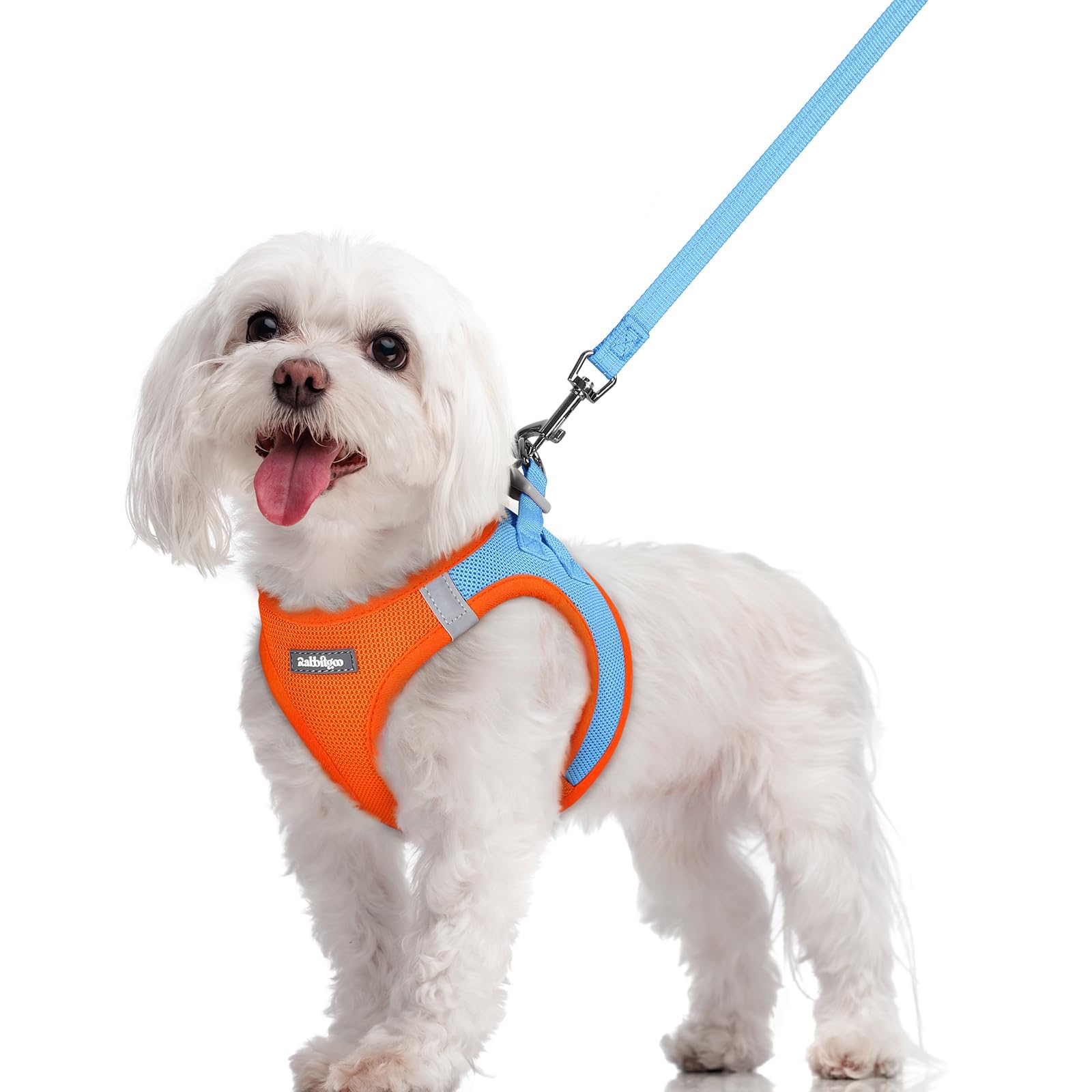 rabbitgoo Reflective Mesh Dog Harness & Leash Set