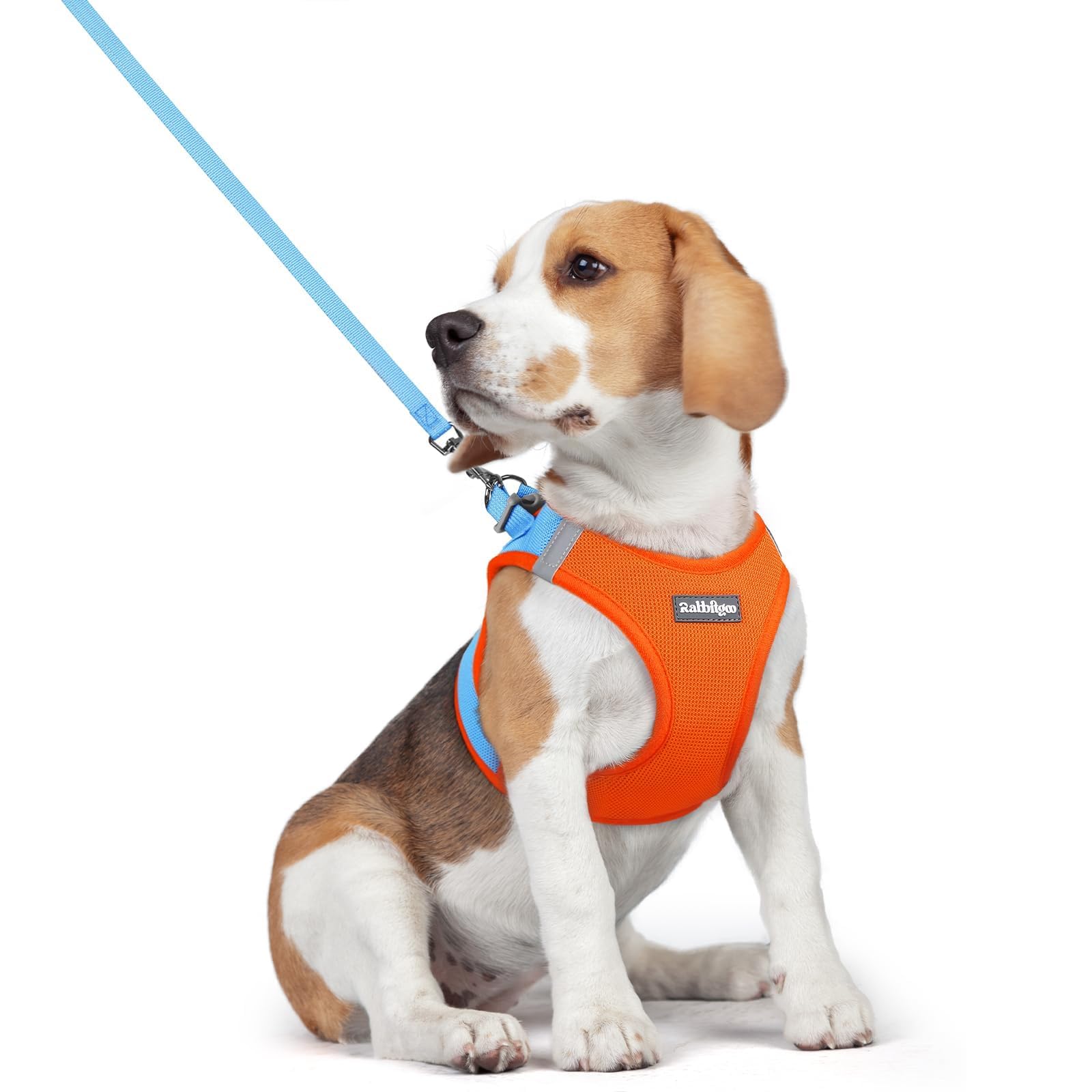 rabbitgoo Reflective Mesh Dog Harness & Leash Set