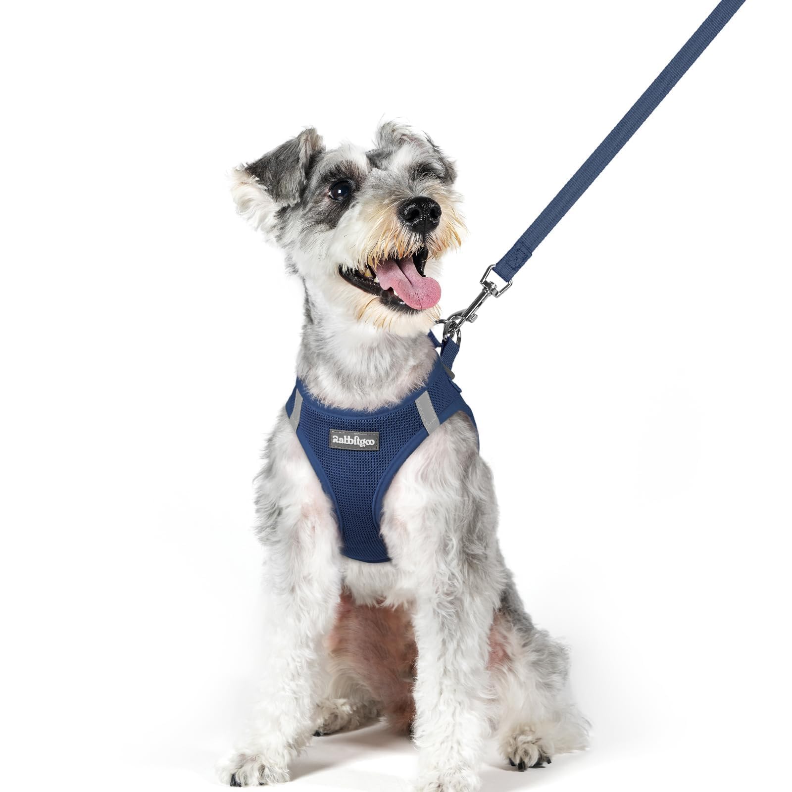 rabbitgoo Reflective Mesh Dog Harness & Leash Set