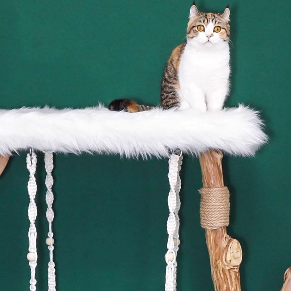 Indoor Cat Climbing Tree with Hammock, Bed & Scratcher