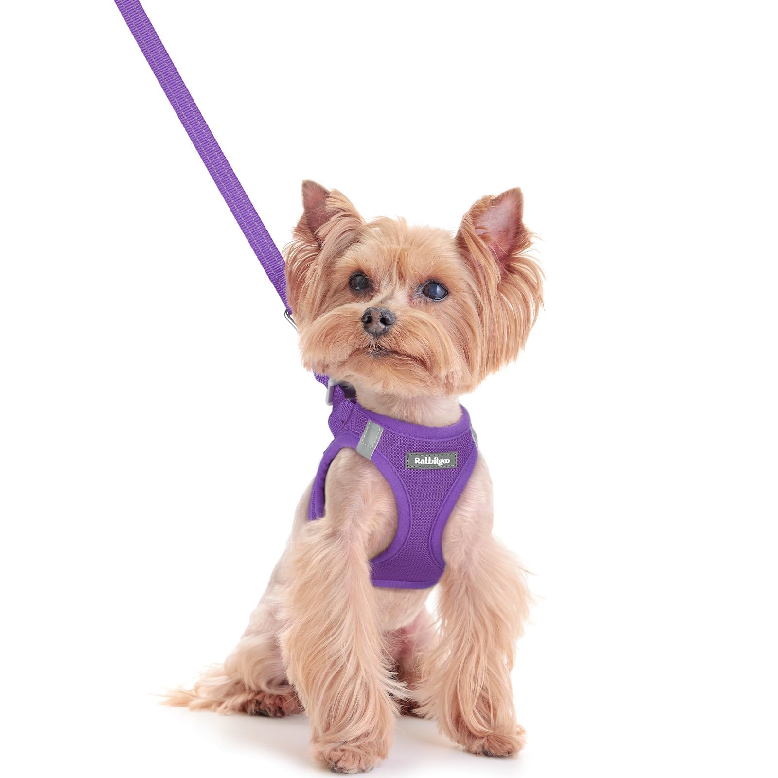 rabbitgoo Reflective Mesh Dog Harness & Leash Set