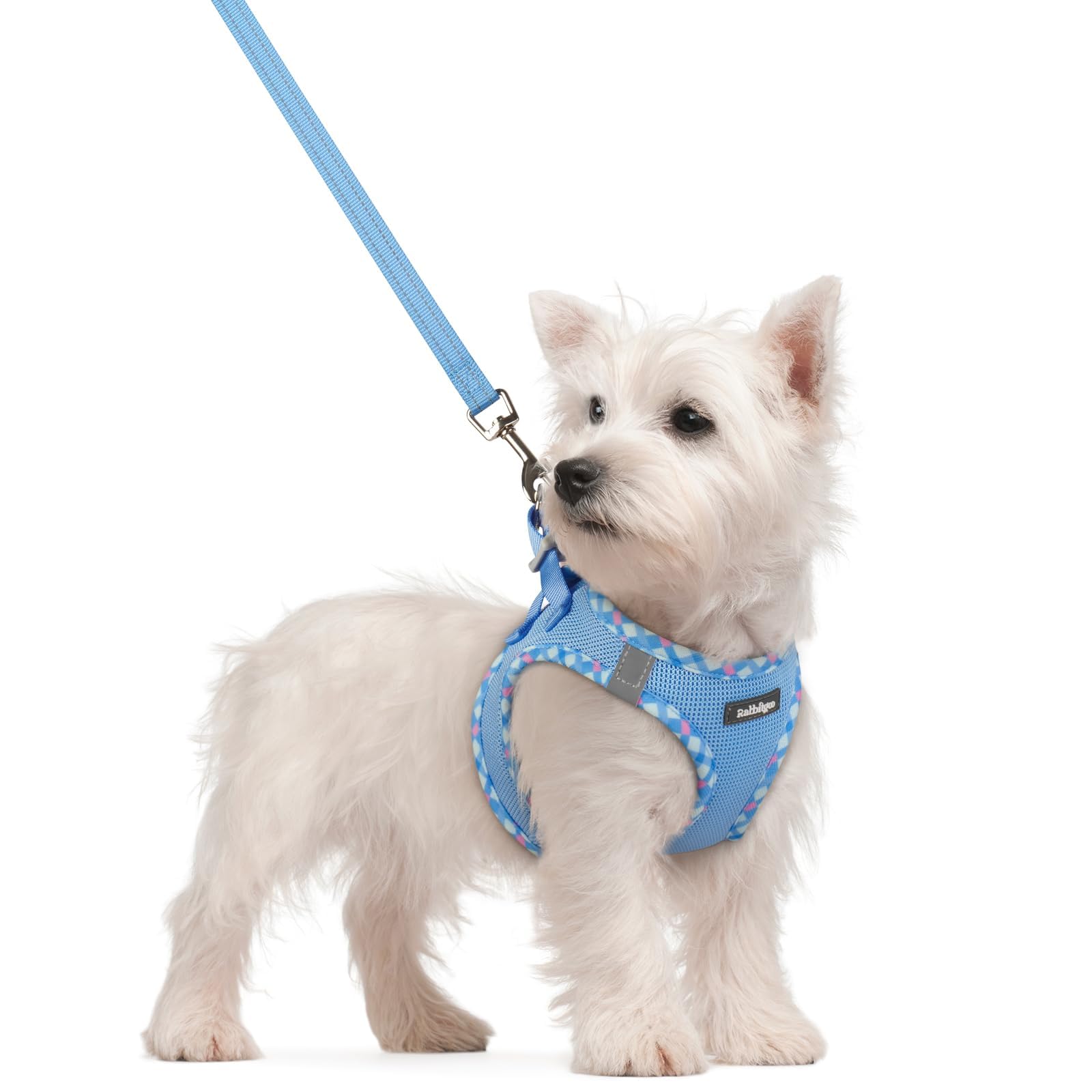 rabbitgoo Reflective Mesh Dog Harness & Leash Set