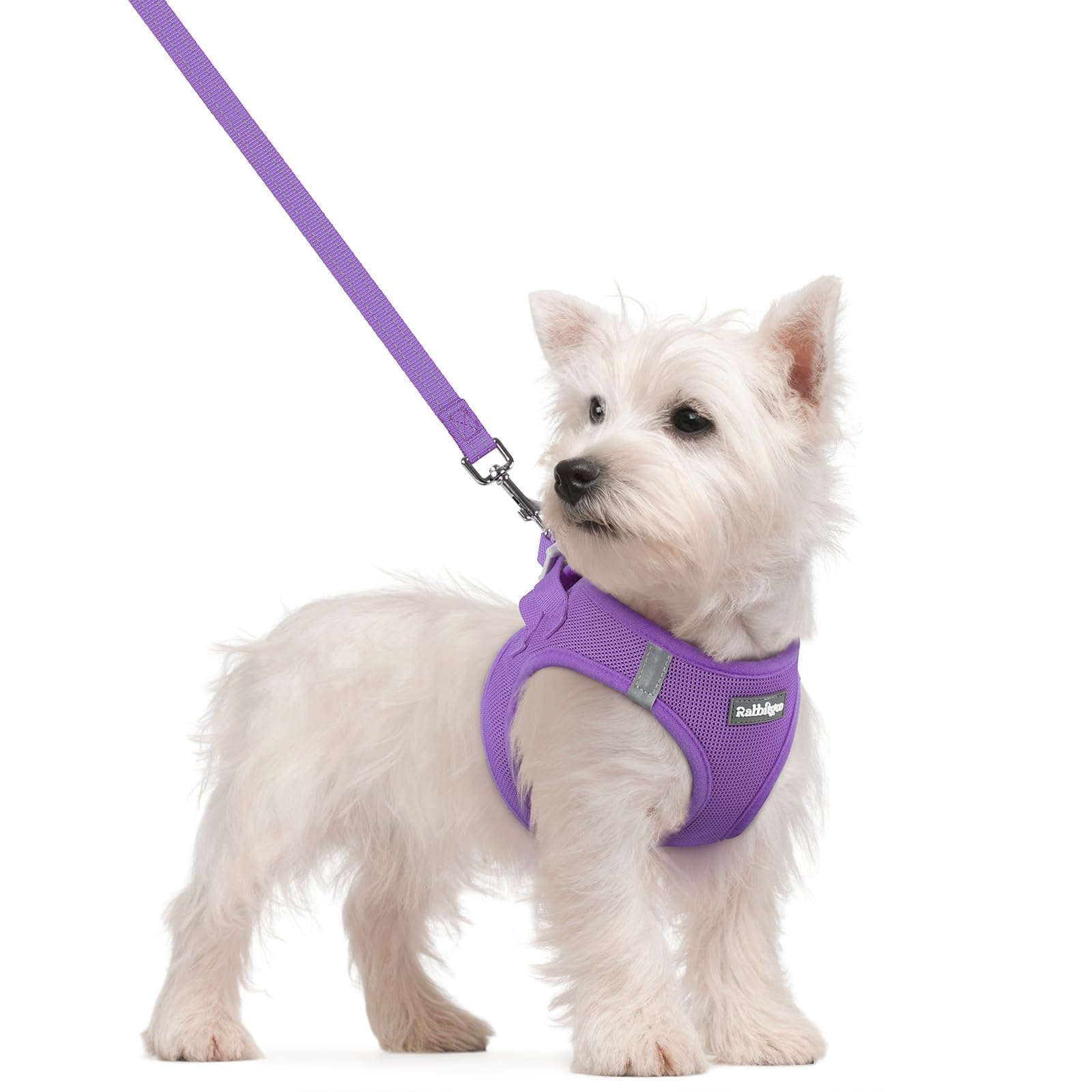 rabbitgoo Reflective Mesh Dog Harness & Leash Set