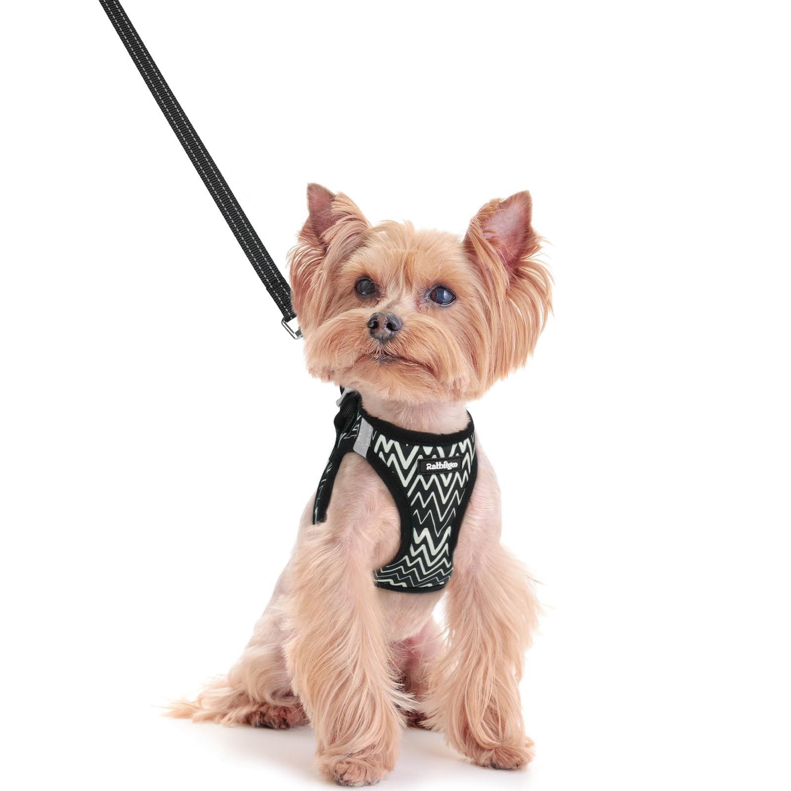 rabbitgoo Reflective Mesh Dog Harness & Leash Set