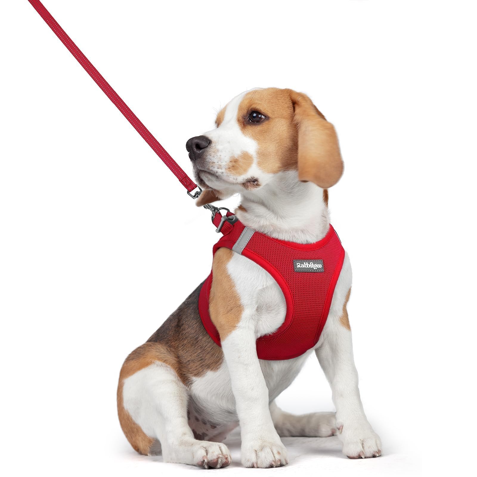 rabbitgoo Reflective Mesh Dog Harness & Leash Set