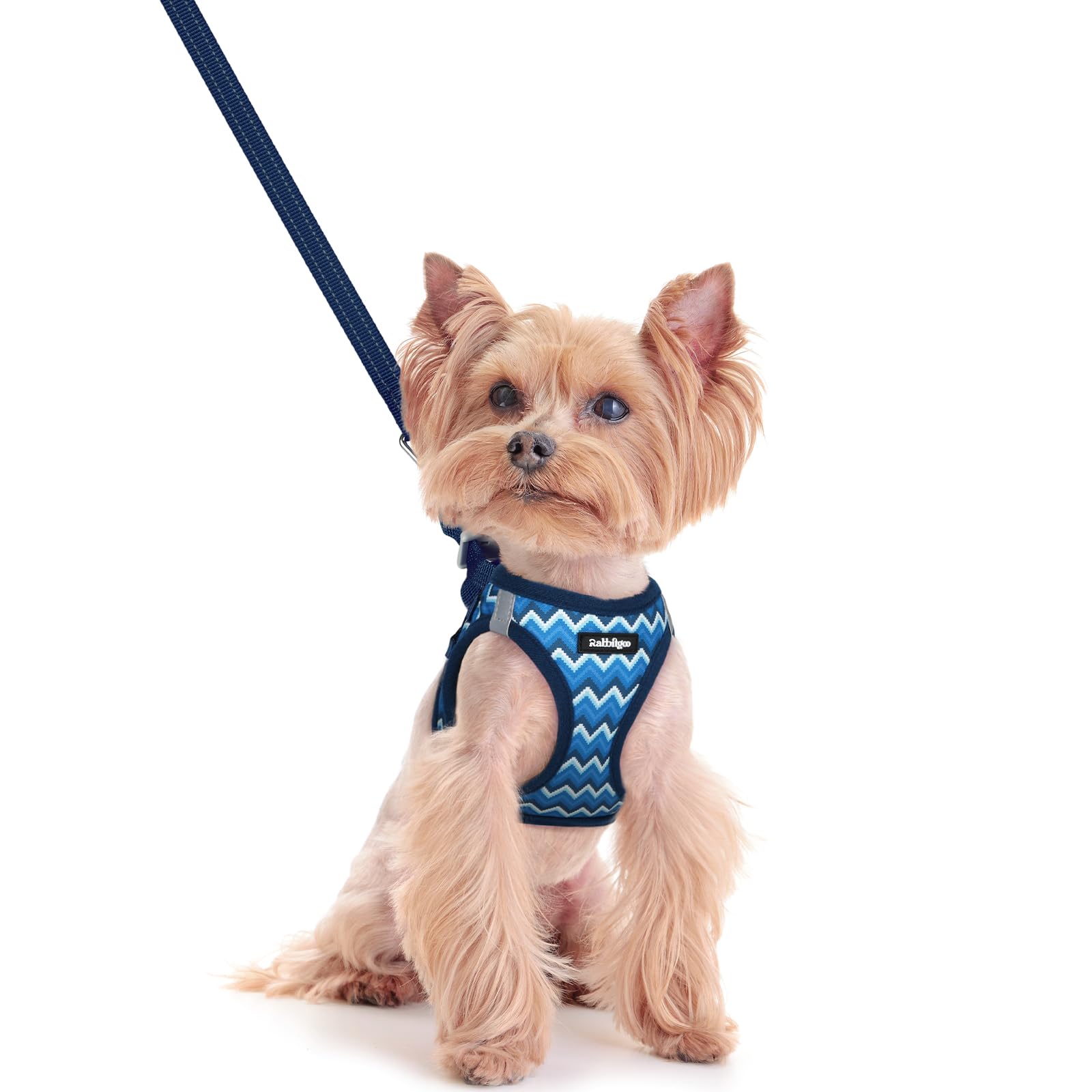 rabbitgoo Reflective Mesh Dog Harness & Leash Set