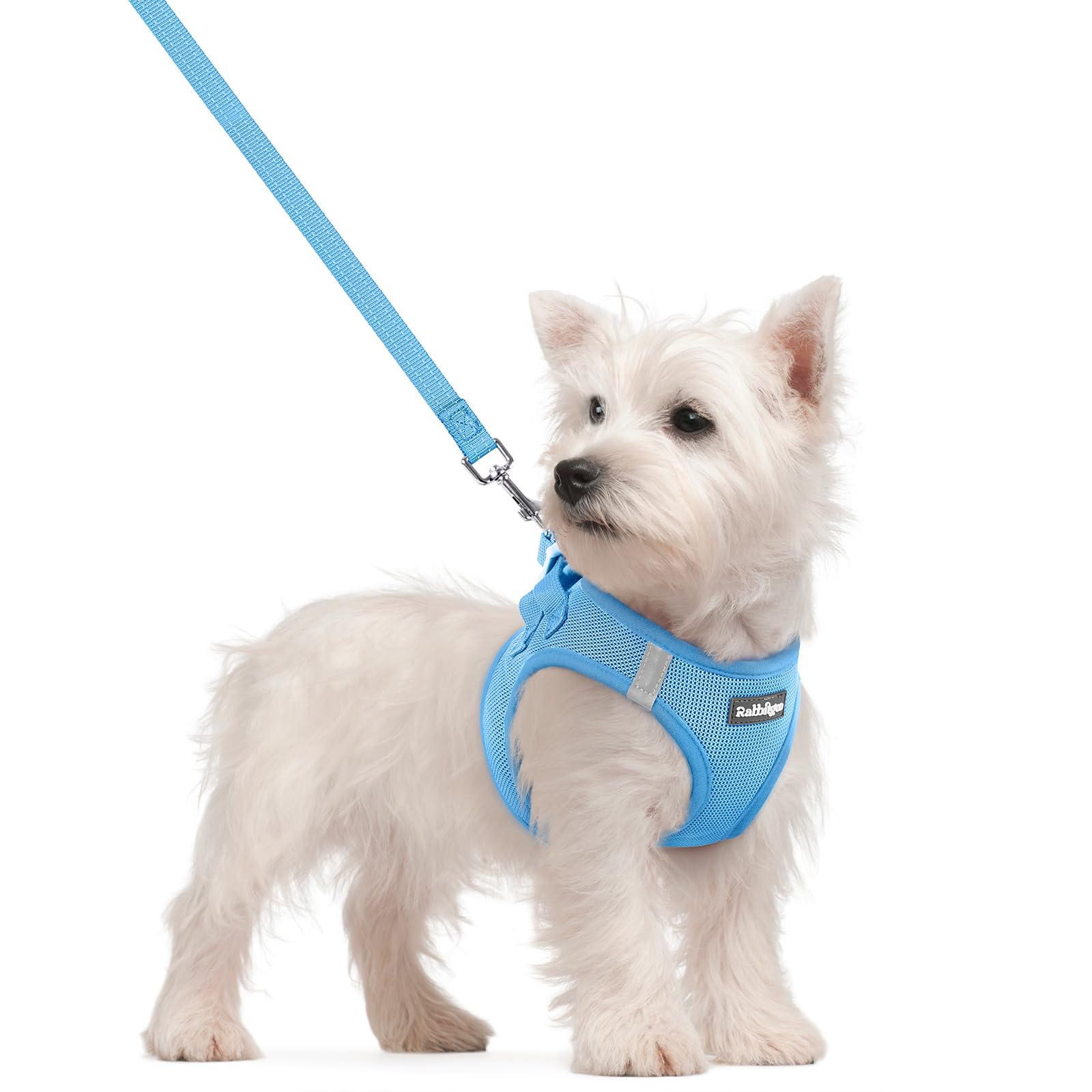 rabbitgoo Reflective Mesh Dog Harness & Leash Set