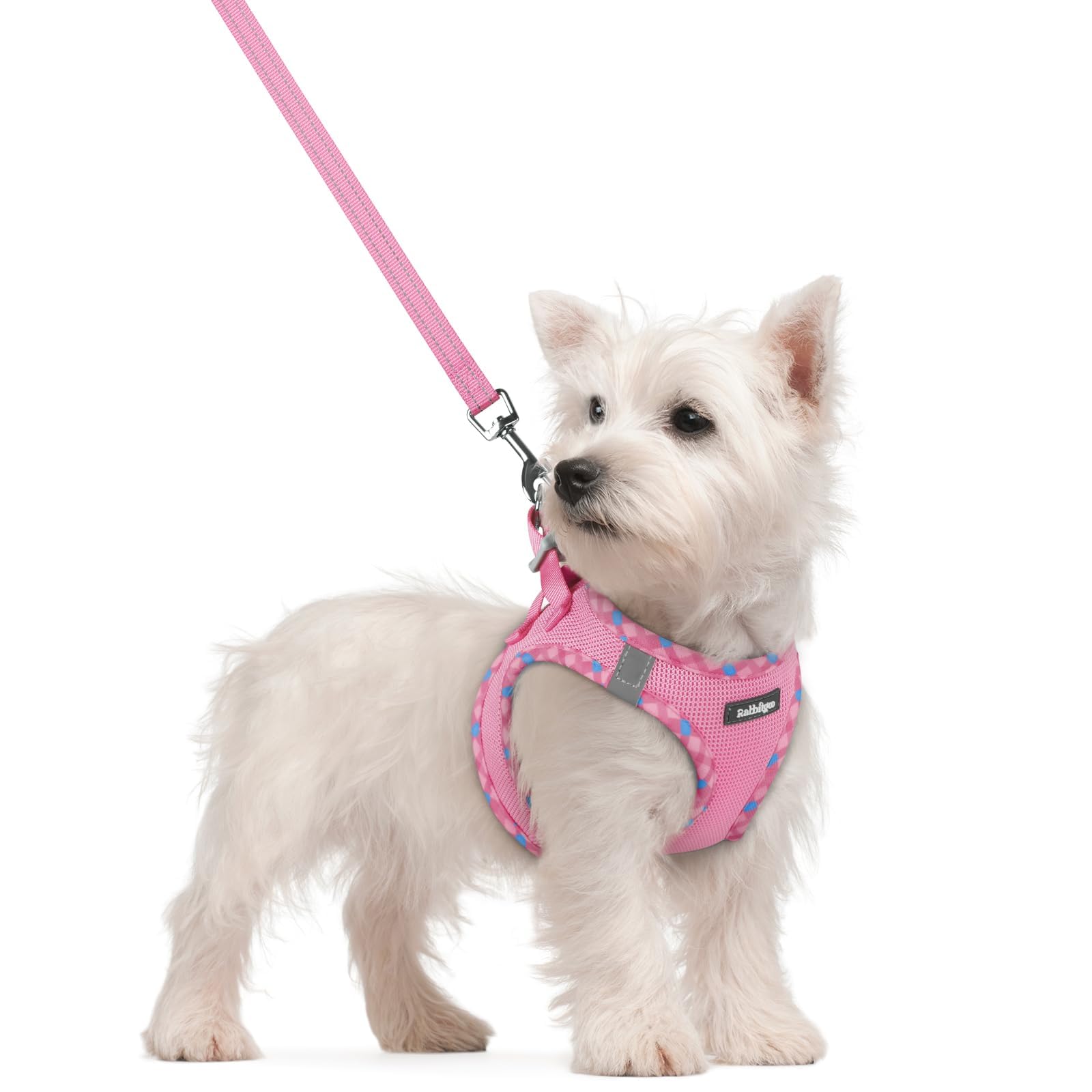 rabbitgoo Reflective Mesh Dog Harness & Leash Set