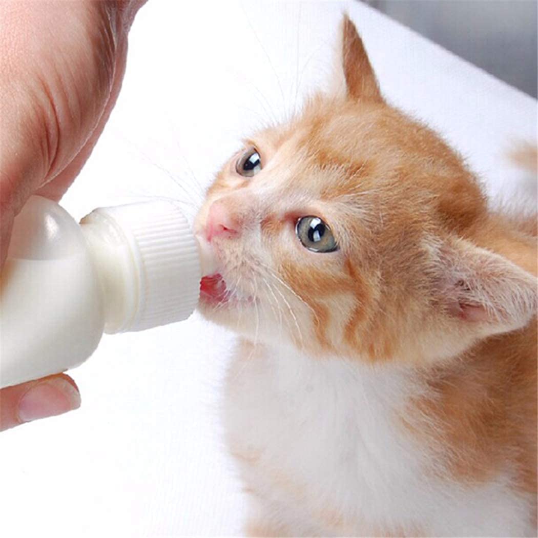 Xuanda Feeding Bottle & Syringe Kit for Small Pets