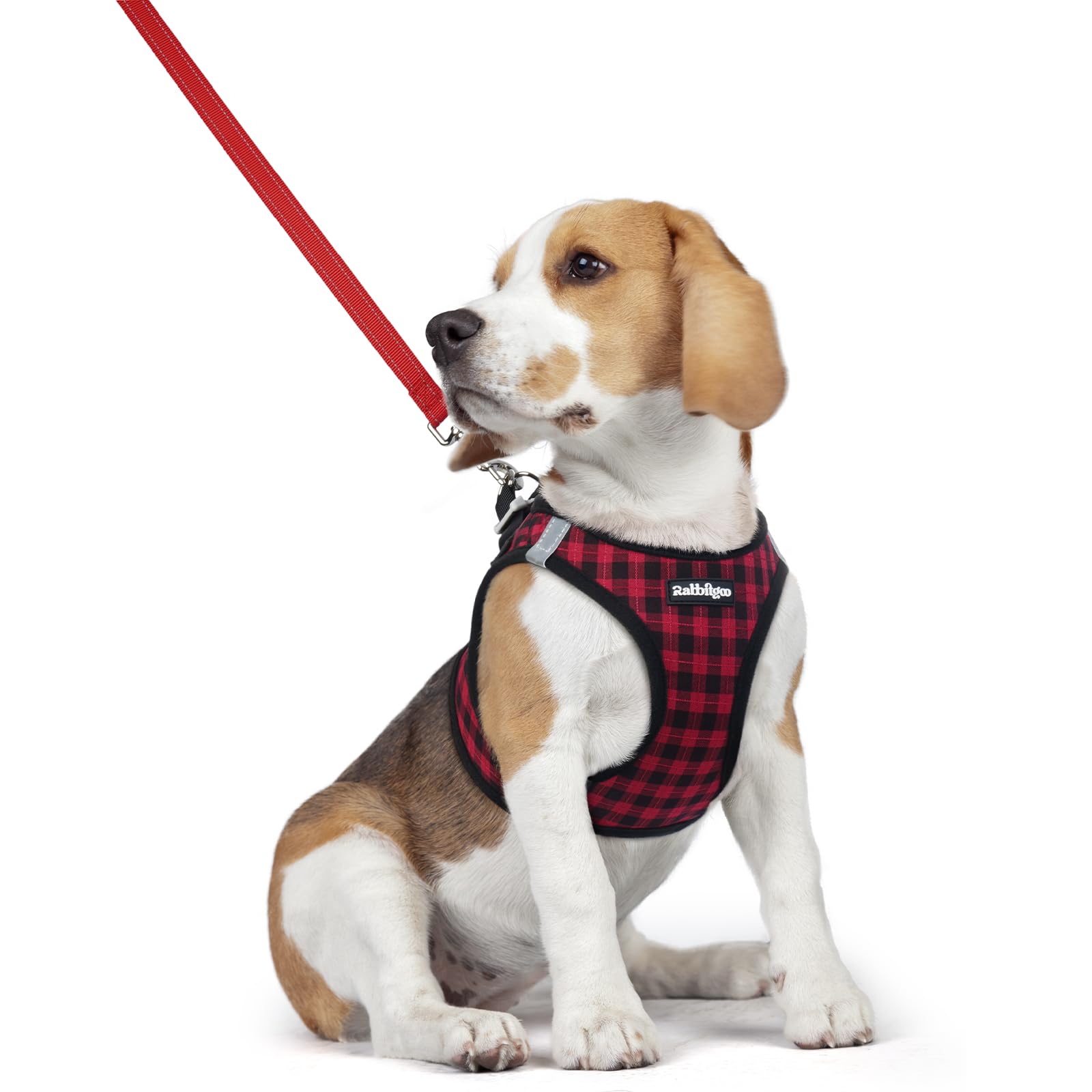 rabbitgoo Reflective Mesh Dog Harness & Leash Set