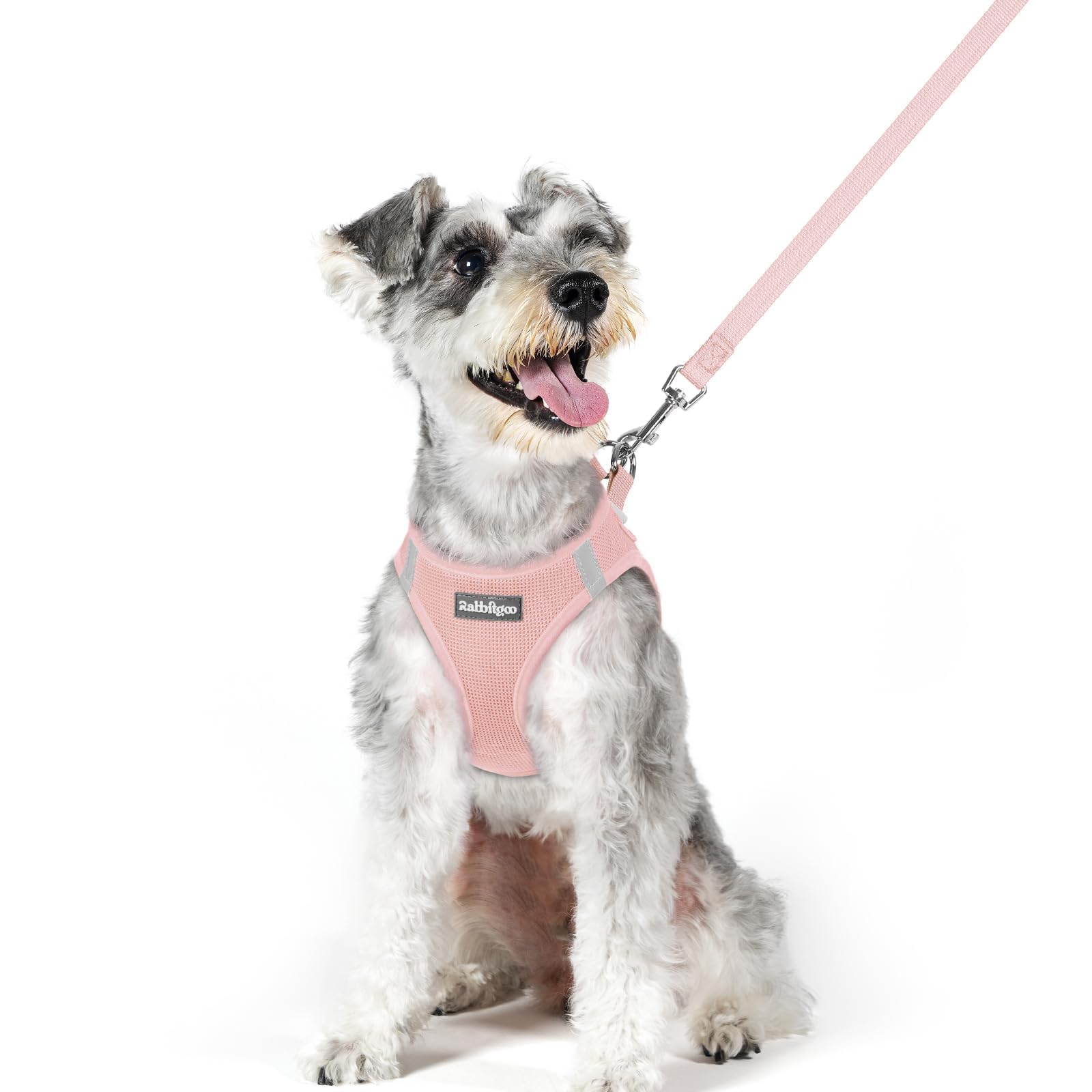 rabbitgoo Reflective Mesh Dog Harness & Leash Set