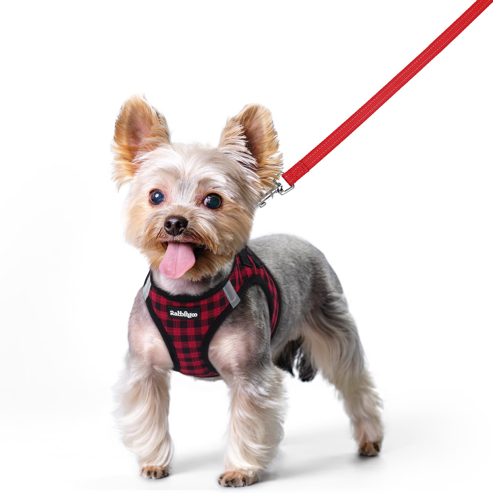 rabbitgoo Reflective Mesh Dog Harness & Leash Set