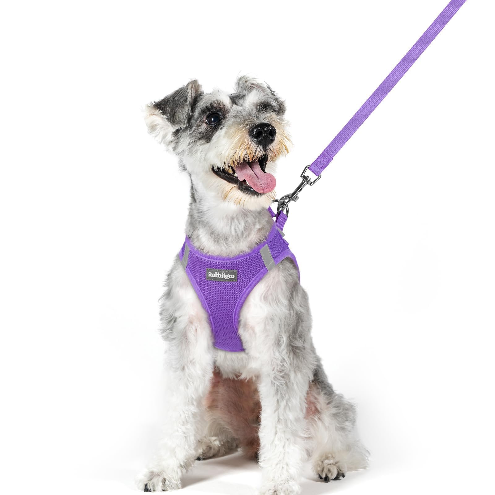 rabbitgoo Reflective Mesh Dog Harness & Leash Set