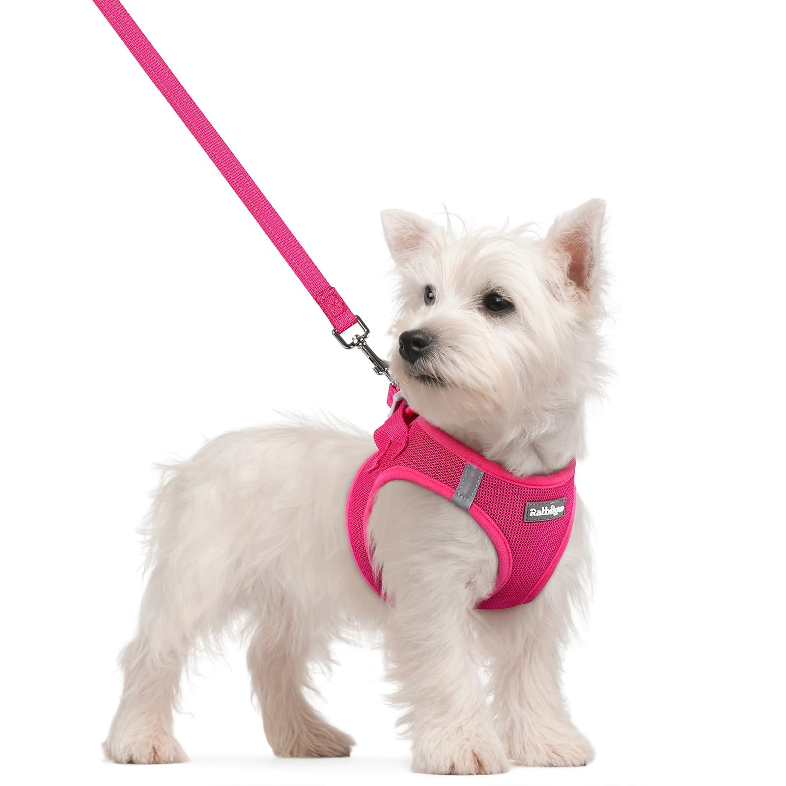 rabbitgoo Reflective Mesh Dog Harness & Leash Set