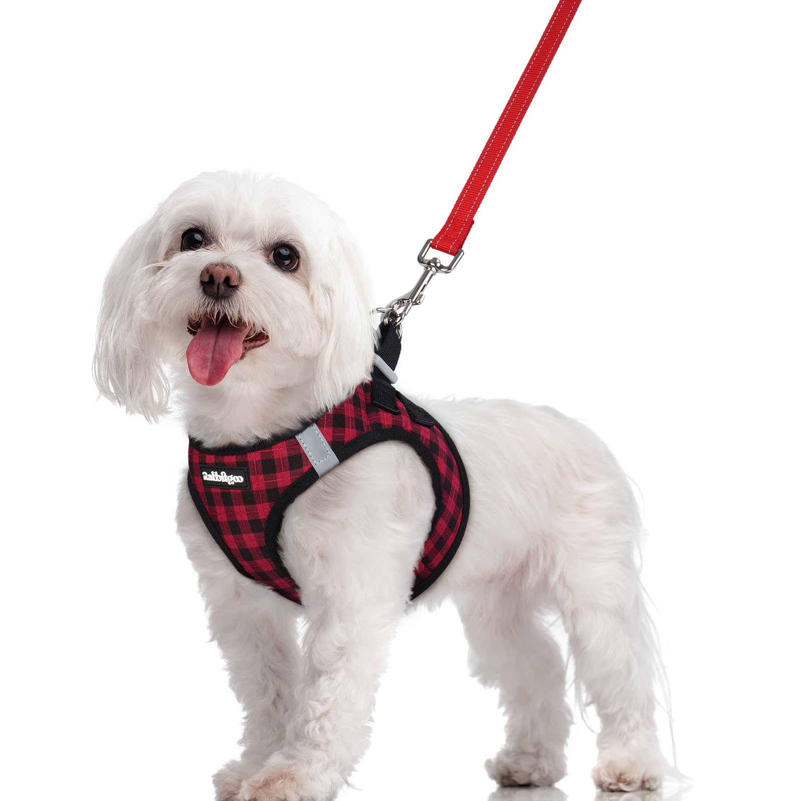 rabbitgoo Reflective Mesh Dog Harness & Leash Set