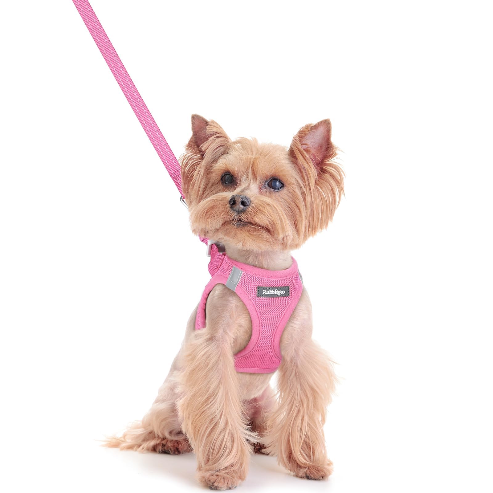 rabbitgoo Reflective Mesh Dog Harness & Leash Set