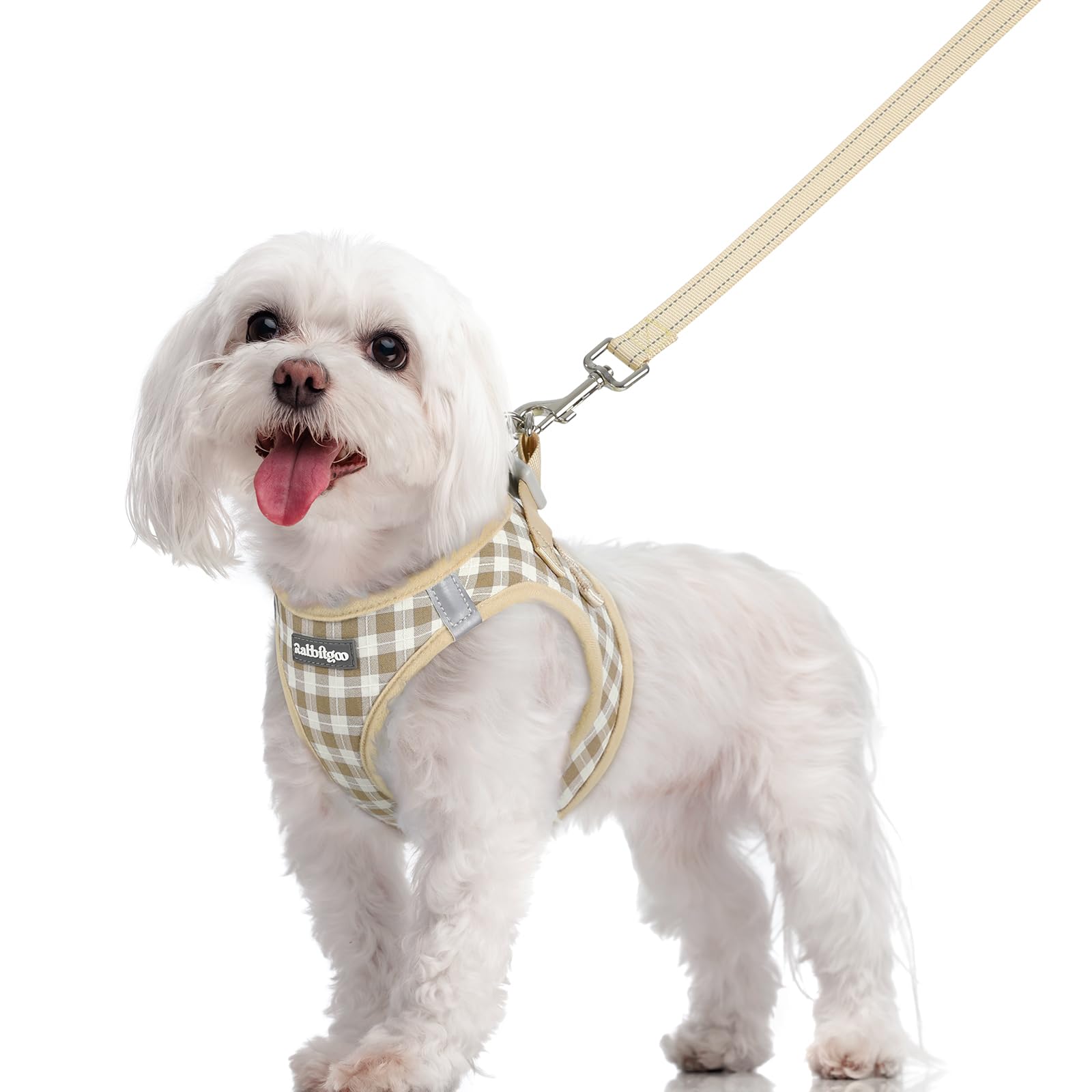 rabbitgoo Reflective Mesh Dog Harness & Leash Set