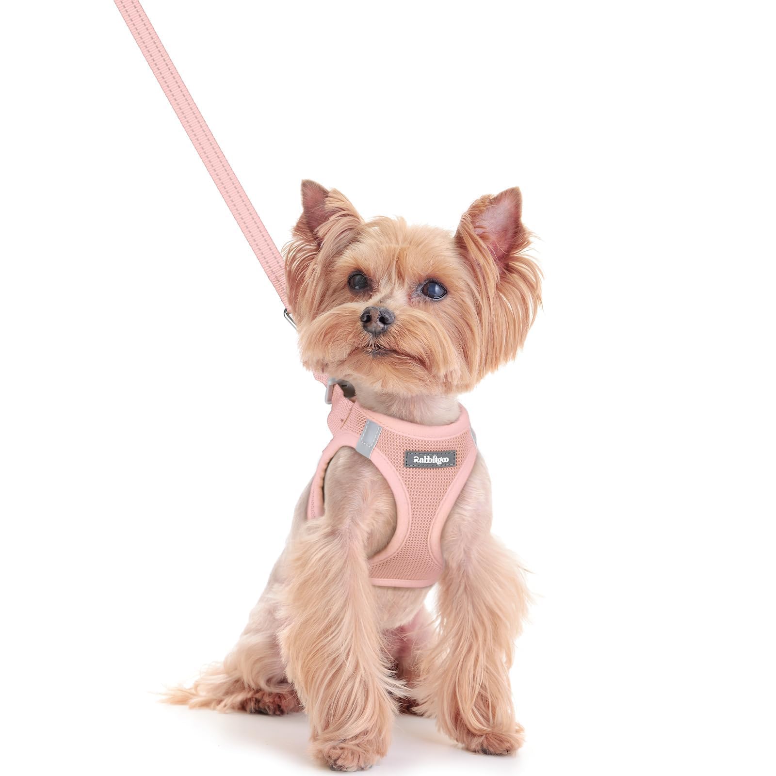 rabbitgoo Reflective Mesh Dog Harness & Leash Set