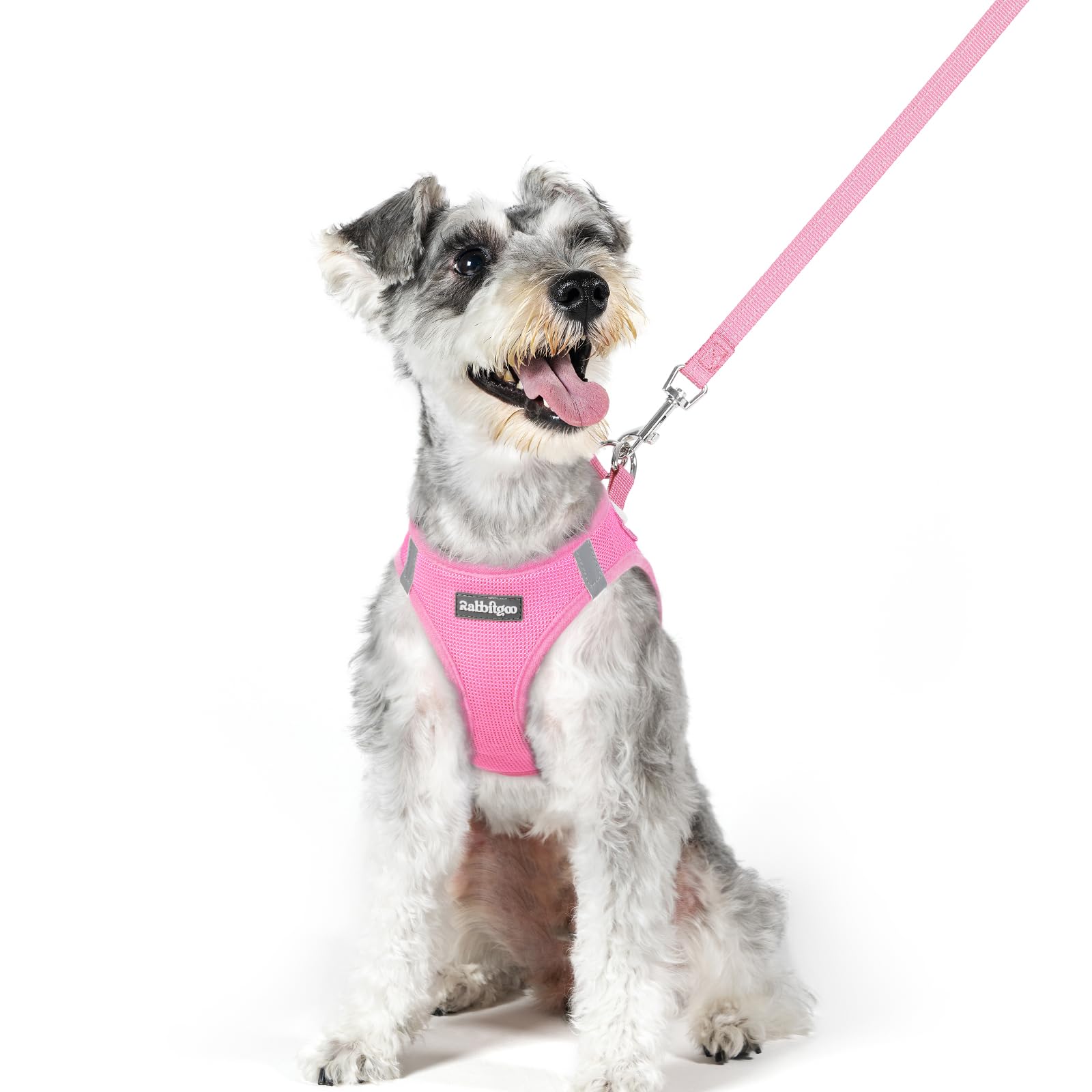 rabbitgoo Reflective Mesh Dog Harness & Leash Set