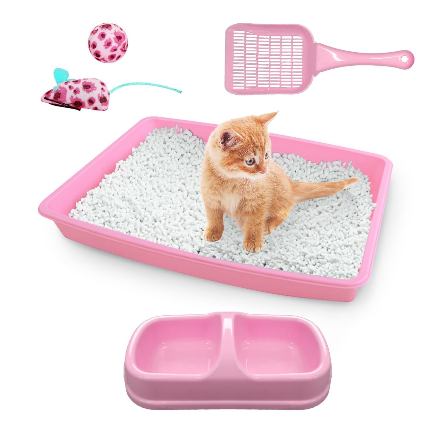 PAWISE Cat Litter Box Starter Kit with Bowl, Scoop & Toys