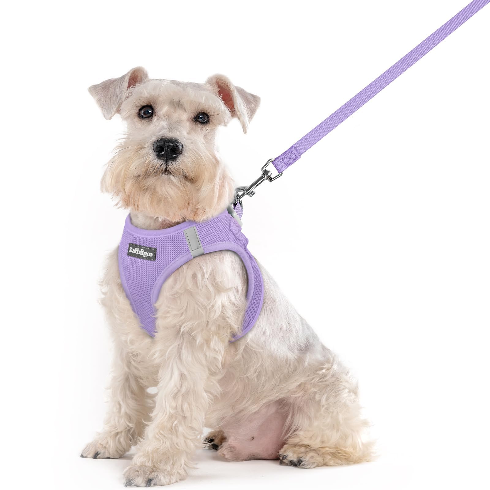 rabbitgoo Reflective Mesh Dog Harness & Leash Set