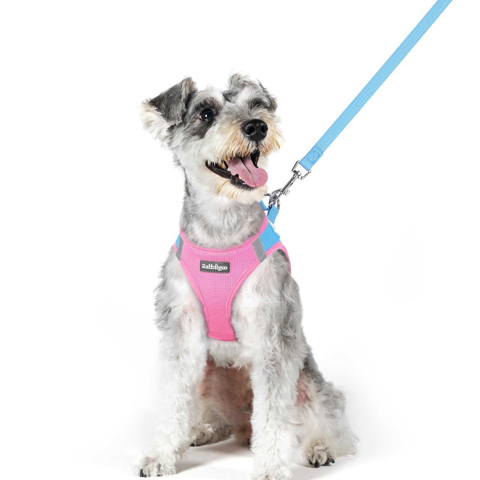 rabbitgoo Reflective Mesh Dog Harness & Leash Set
