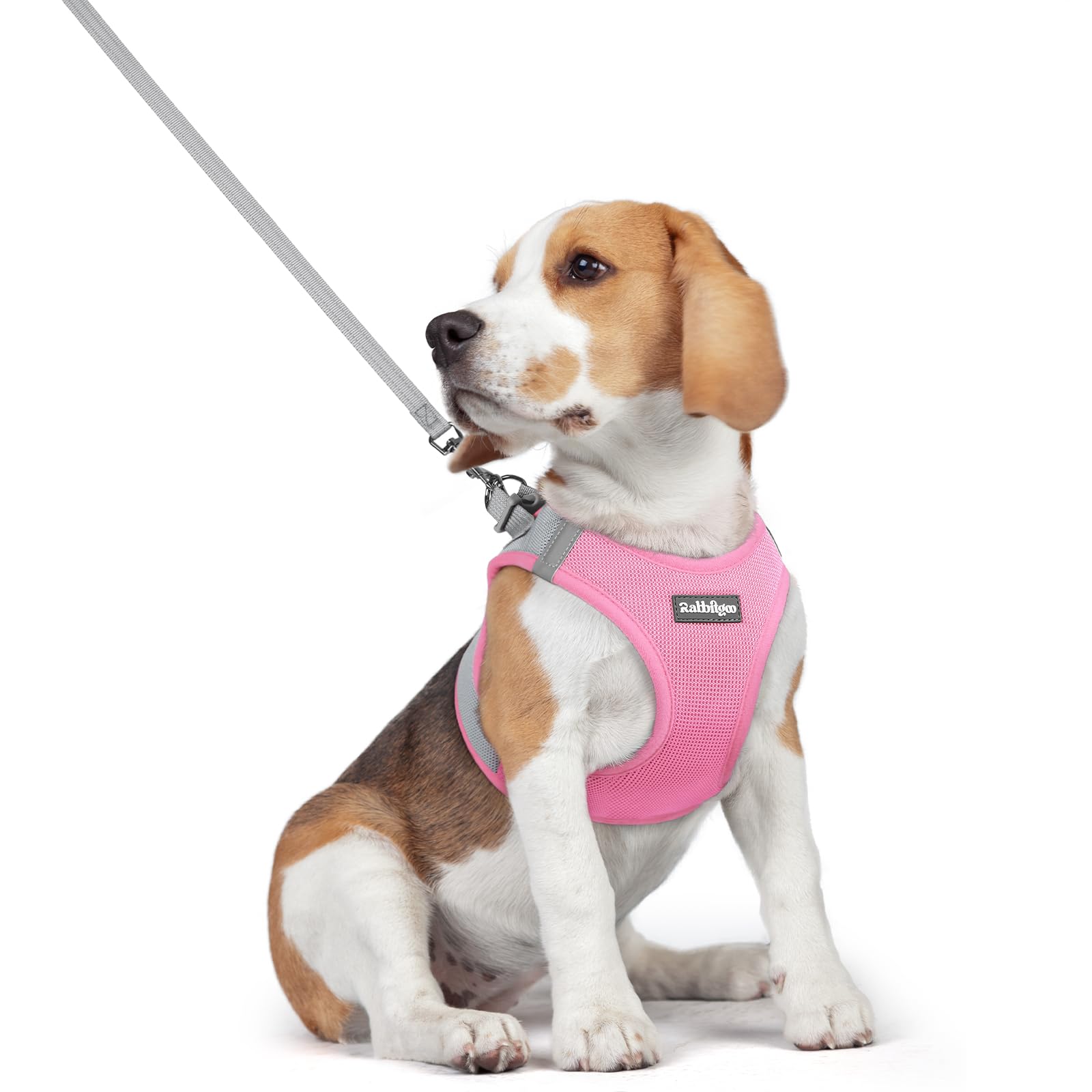 rabbitgoo Reflective Mesh Dog Harness & Leash Set