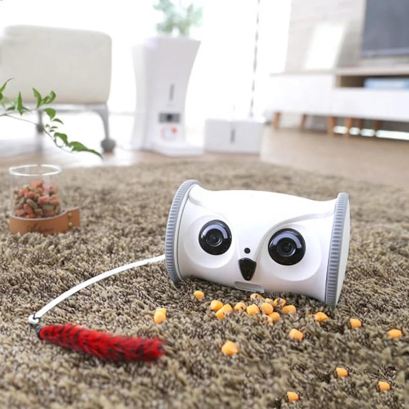 USA CALI Automatic Rolling Owl Toy for Cats & Dogs