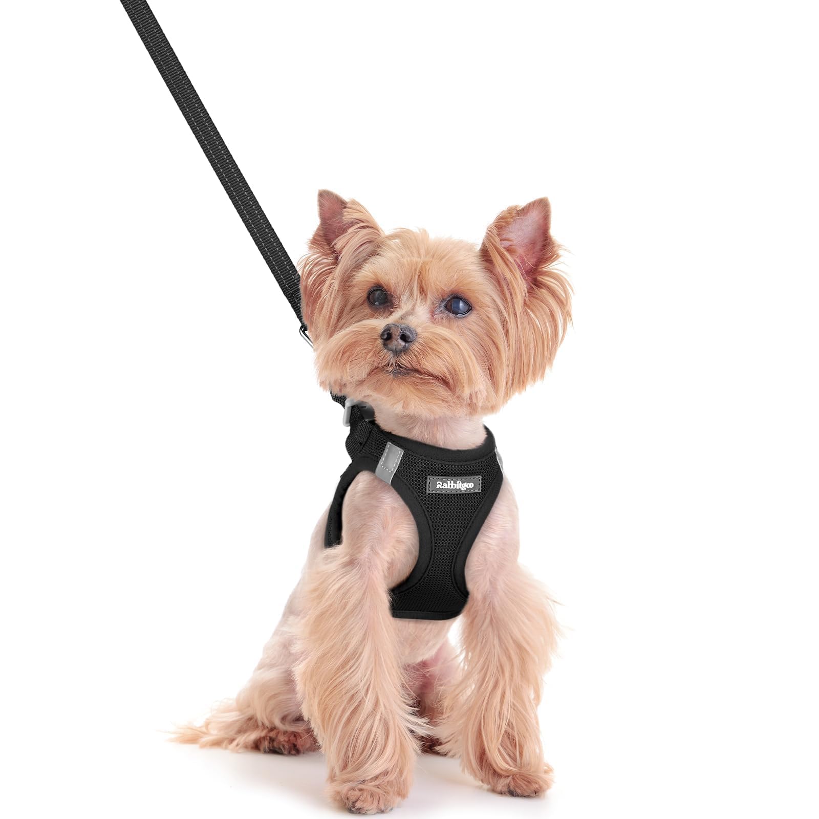 rabbitgoo Reflective Mesh Dog Harness & Leash Set