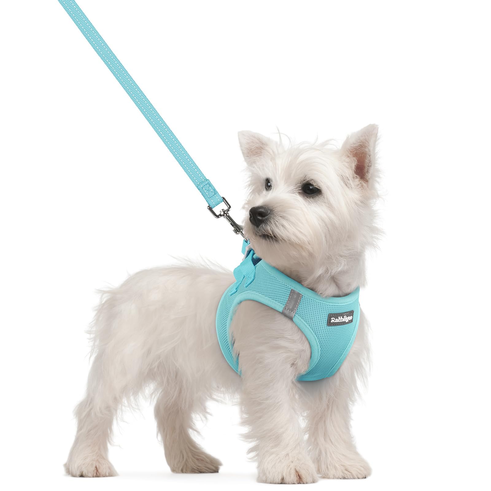 rabbitgoo Reflective Mesh Dog Harness & Leash Set
