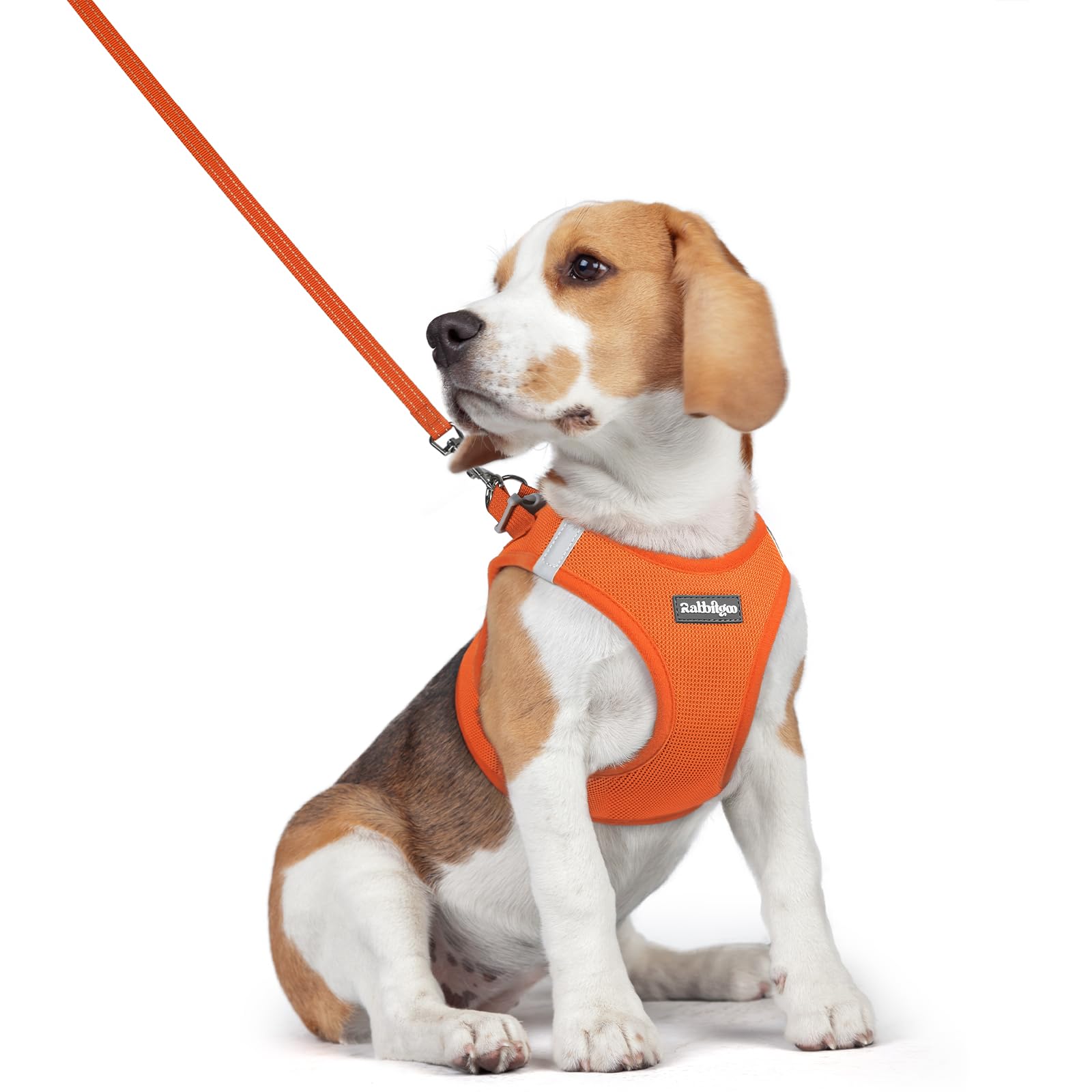 rabbitgoo Reflective Mesh Dog Harness & Leash Set