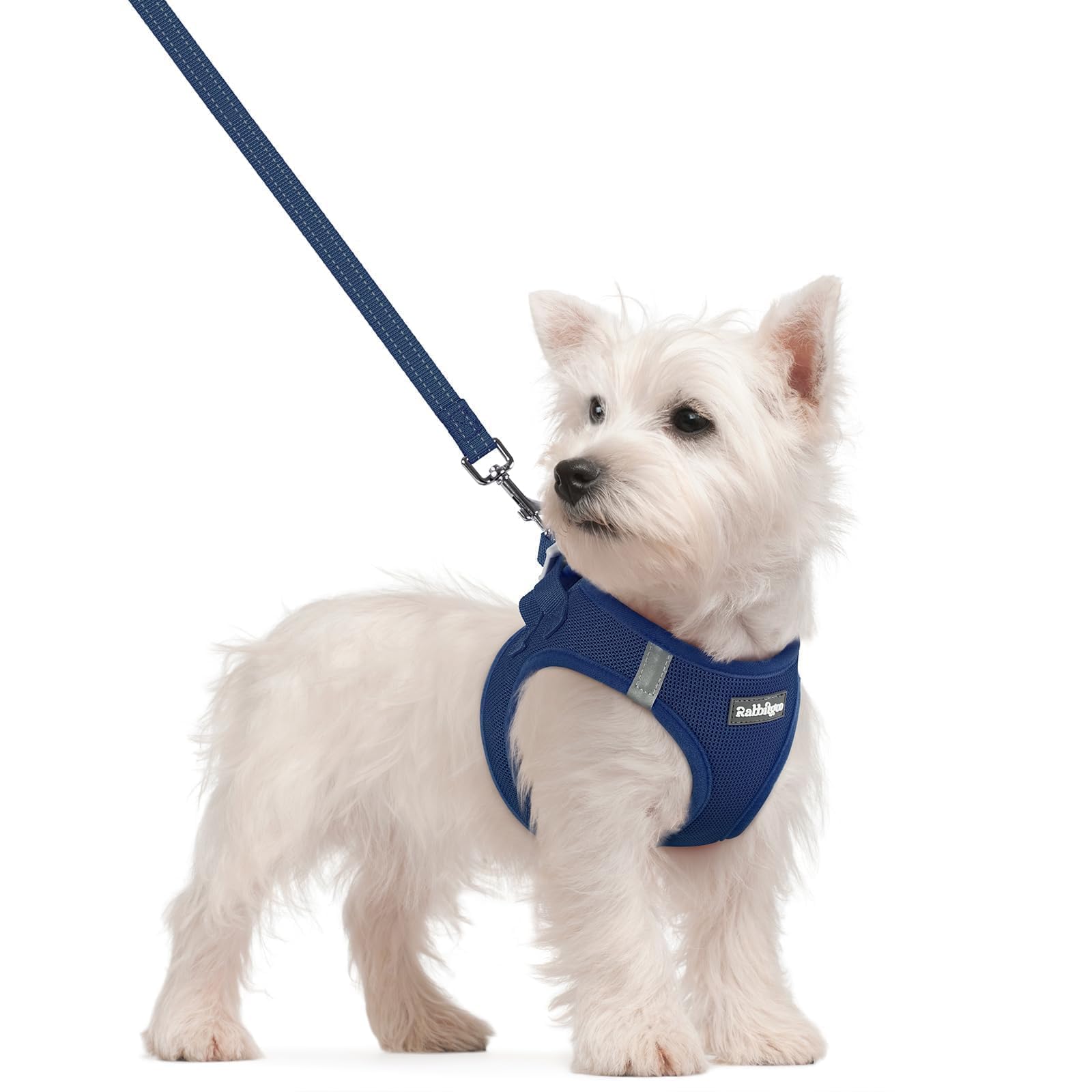 rabbitgoo Reflective Mesh Dog Harness & Leash Set
