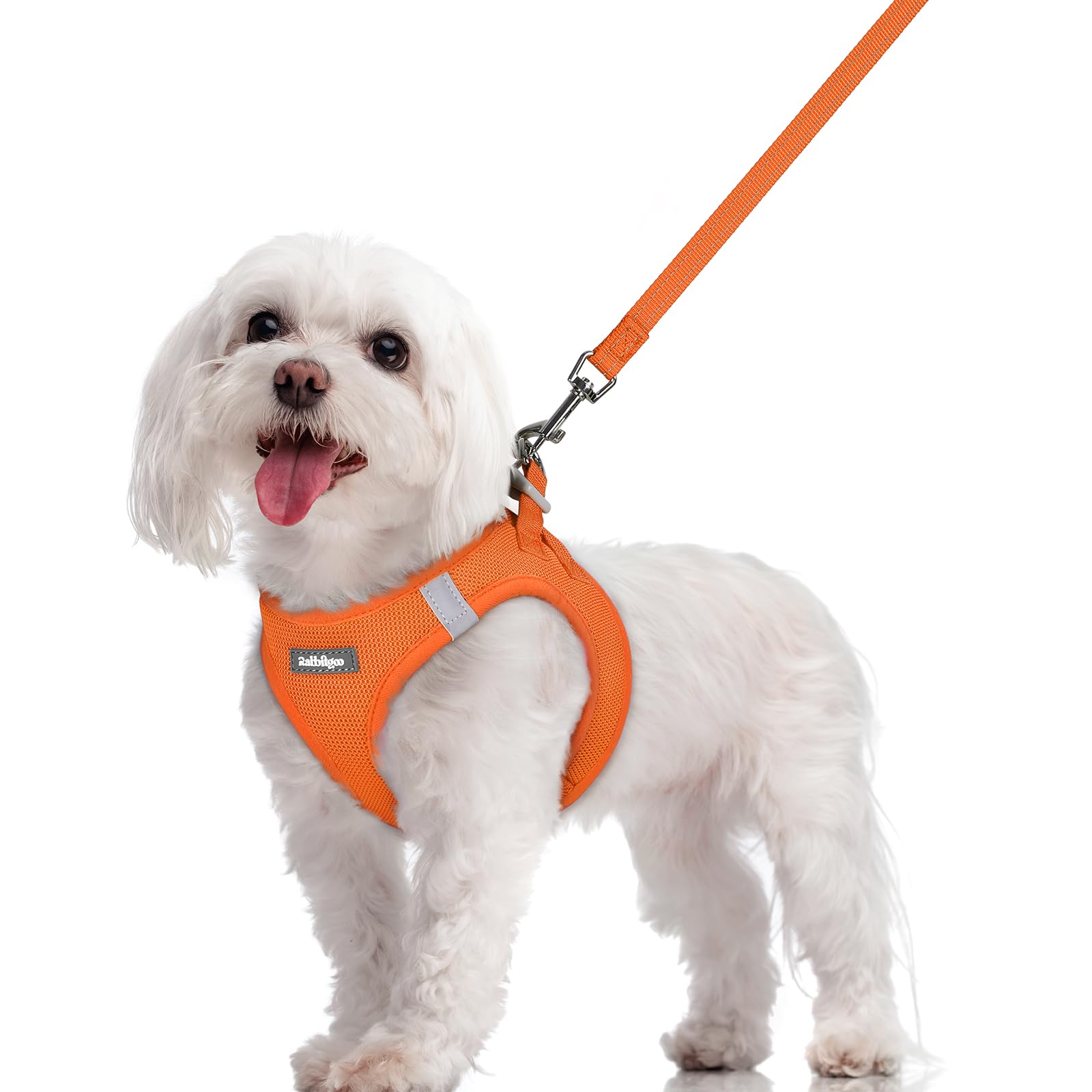 rabbitgoo Reflective Mesh Dog Harness & Leash Set