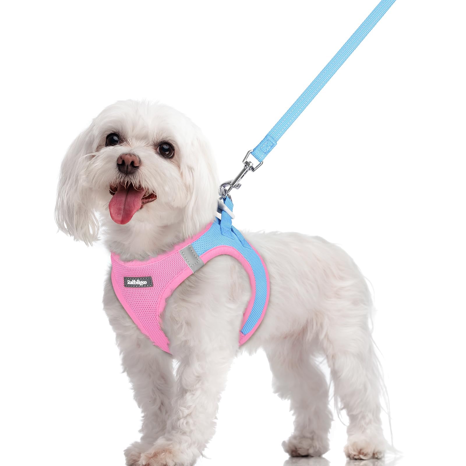 rabbitgoo Reflective Mesh Dog Harness & Leash Set