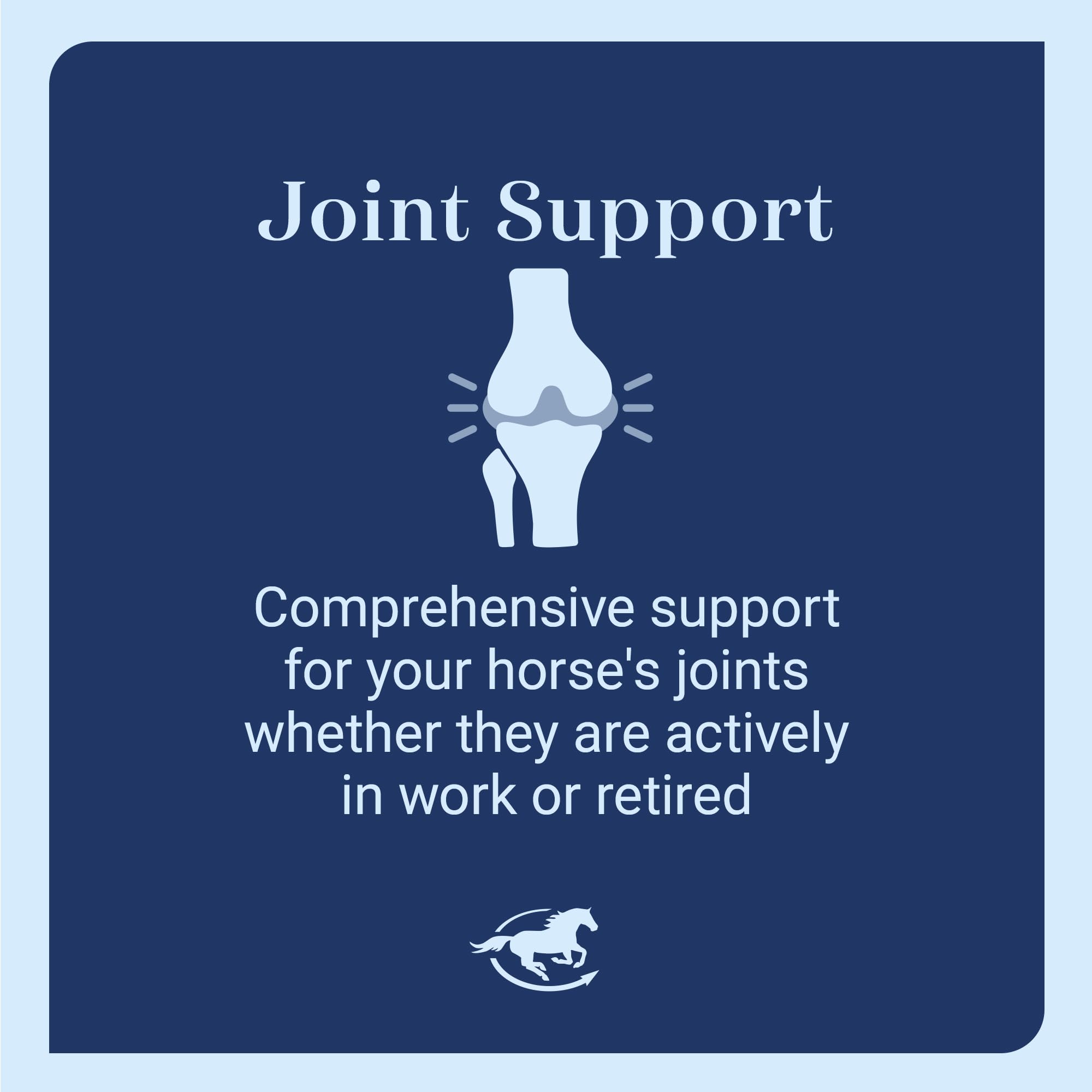 SmartEquine SmartFlex Senior Horse Joint Supplement