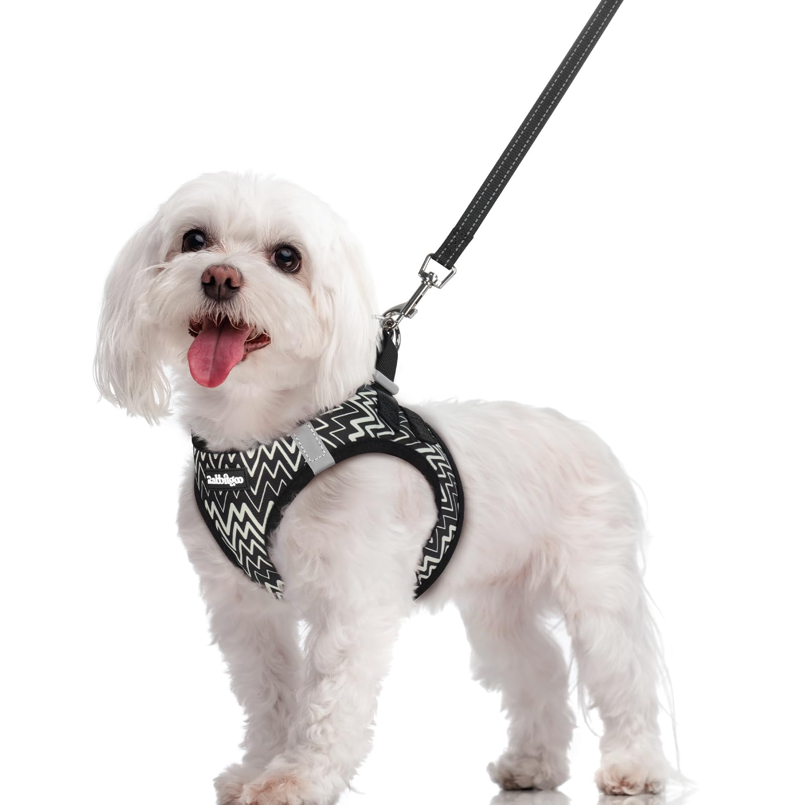 rabbitgoo Reflective Mesh Dog Harness & Leash Set