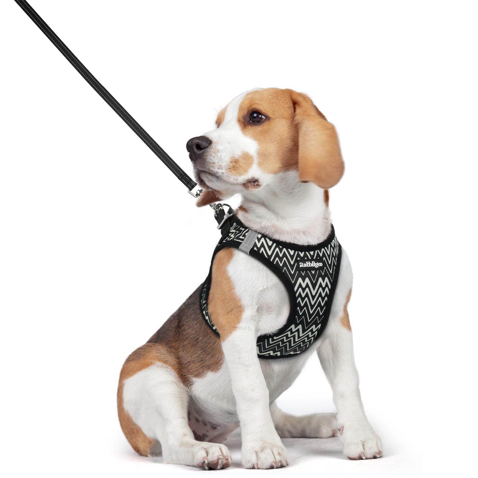 rabbitgoo Reflective Mesh Dog Harness & Leash Set