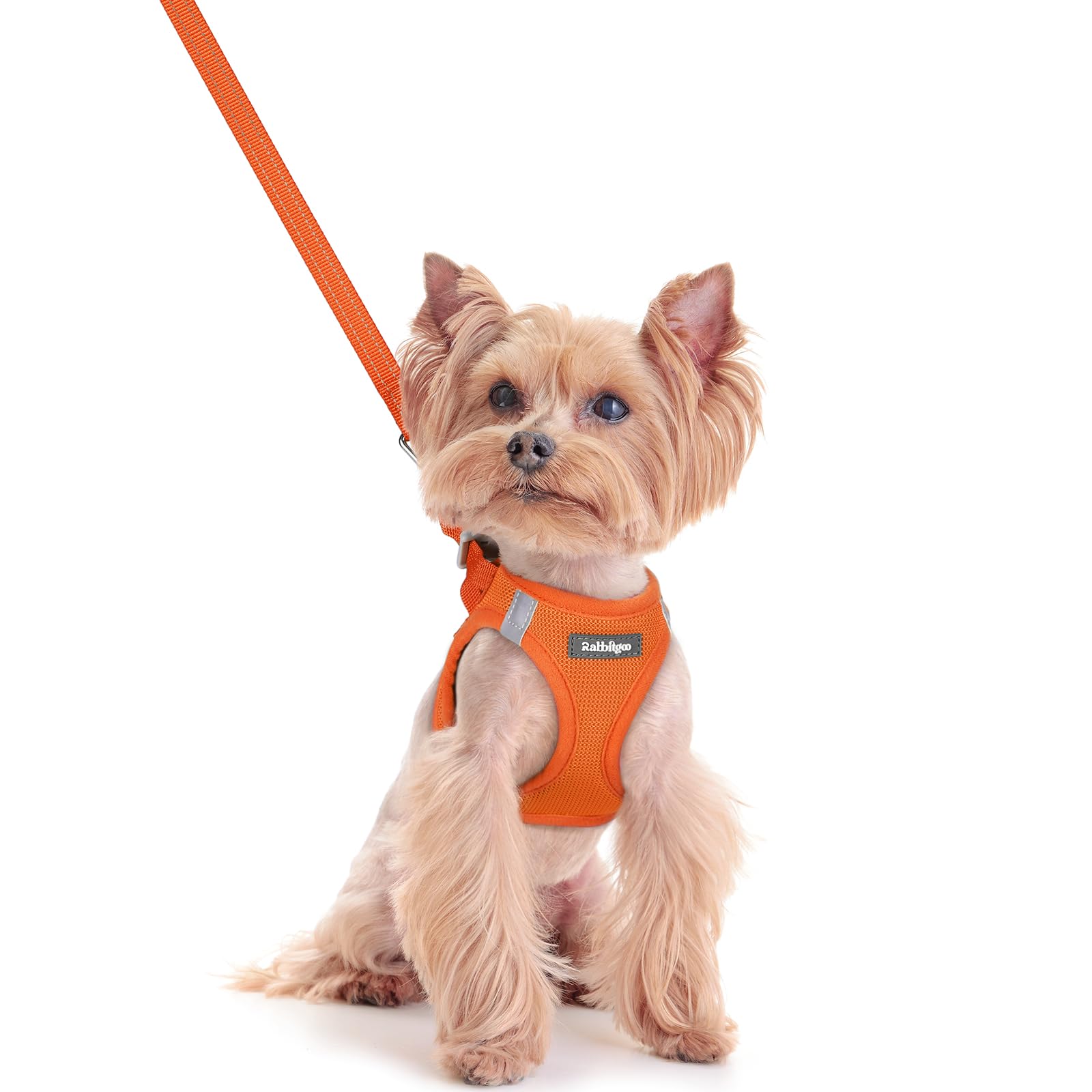 rabbitgoo Reflective Mesh Dog Harness & Leash Set