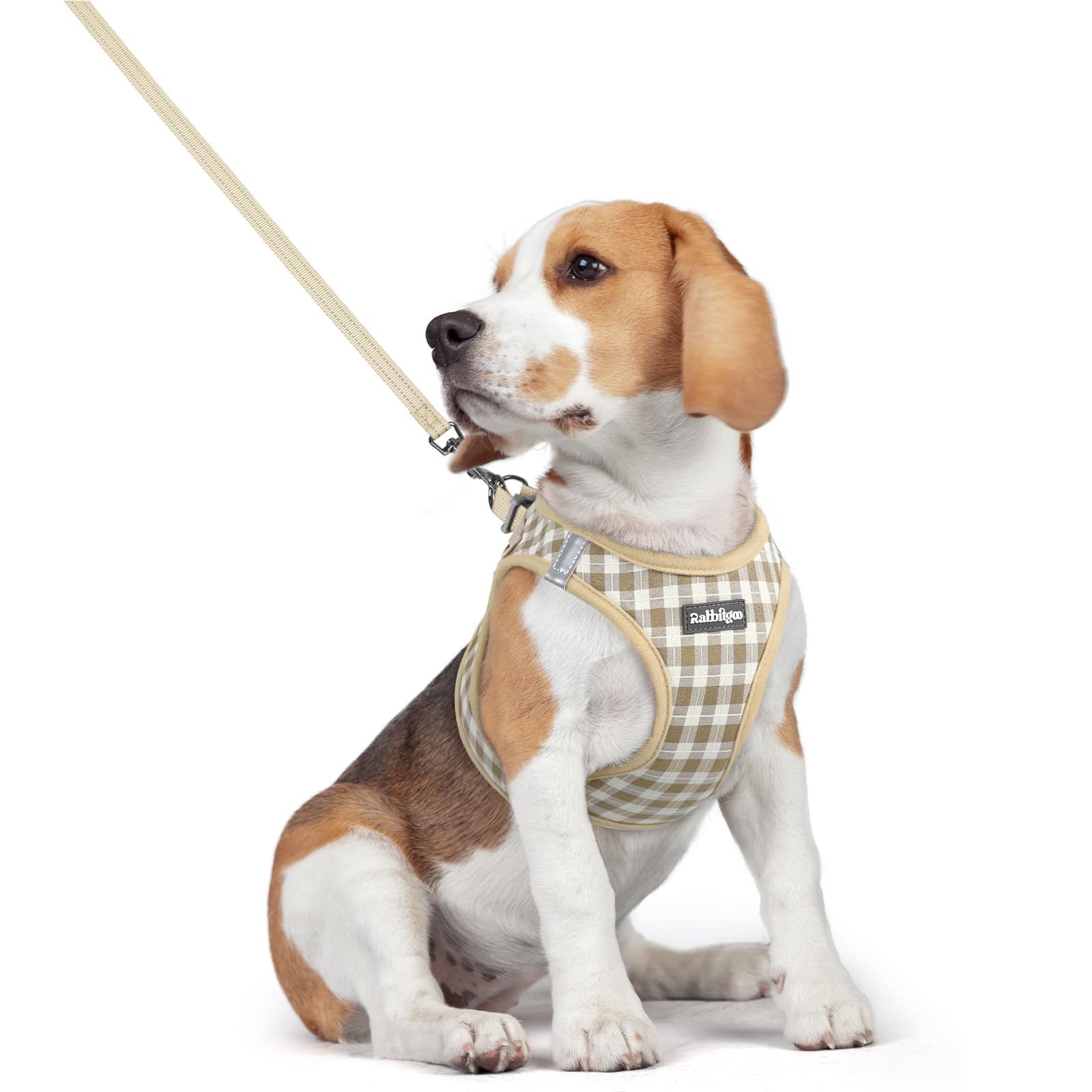 rabbitgoo Reflective Mesh Dog Harness & Leash Set