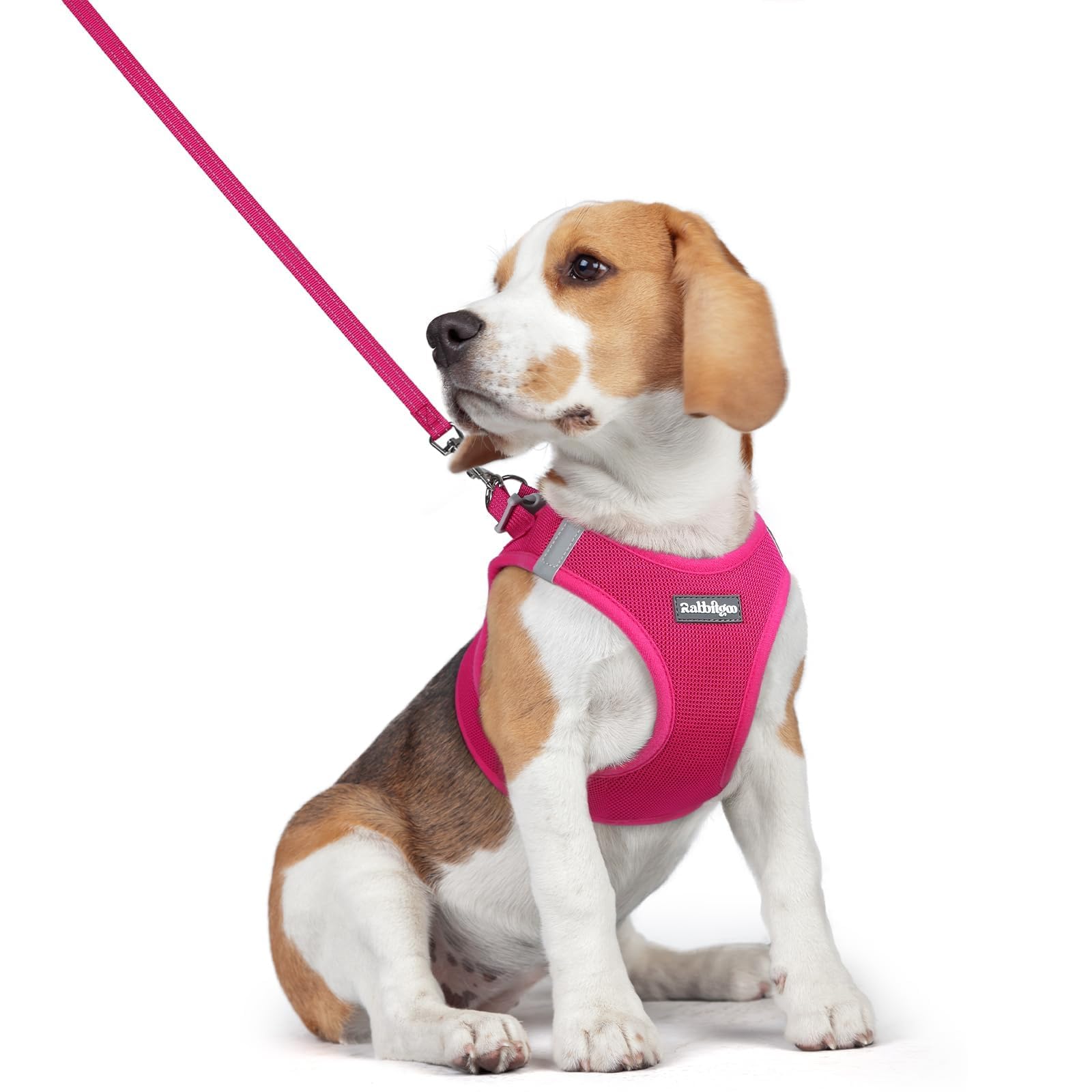 rabbitgoo Reflective Mesh Dog Harness & Leash Set