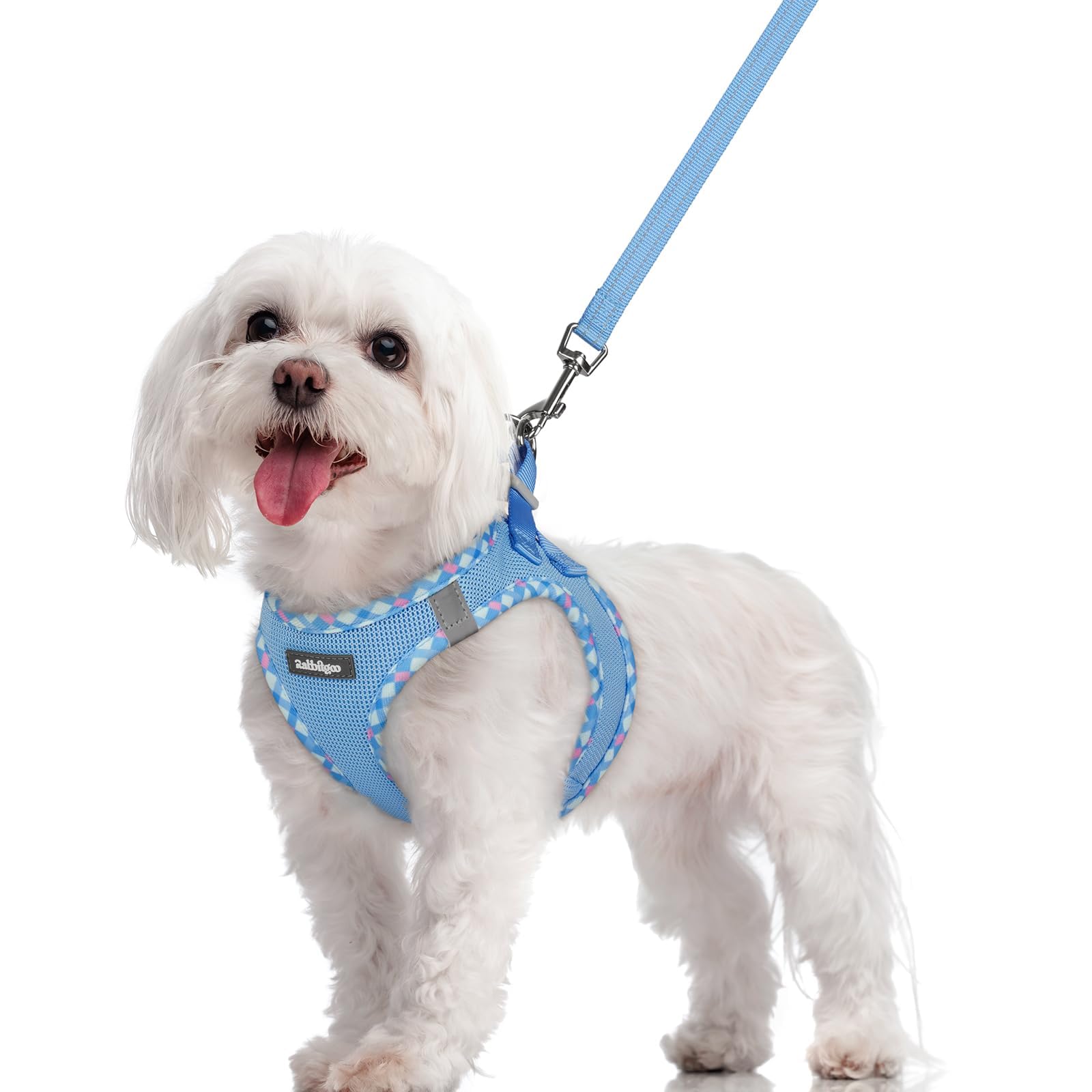 rabbitgoo Reflective Mesh Dog Harness & Leash Set